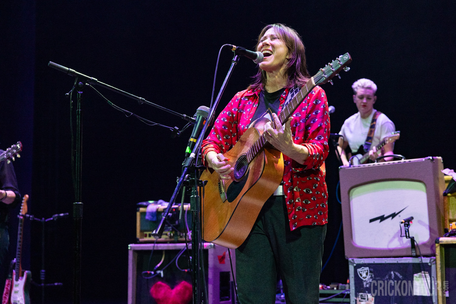 Back Beat Seattle. Photo: The Breeders Paramount Theatre
