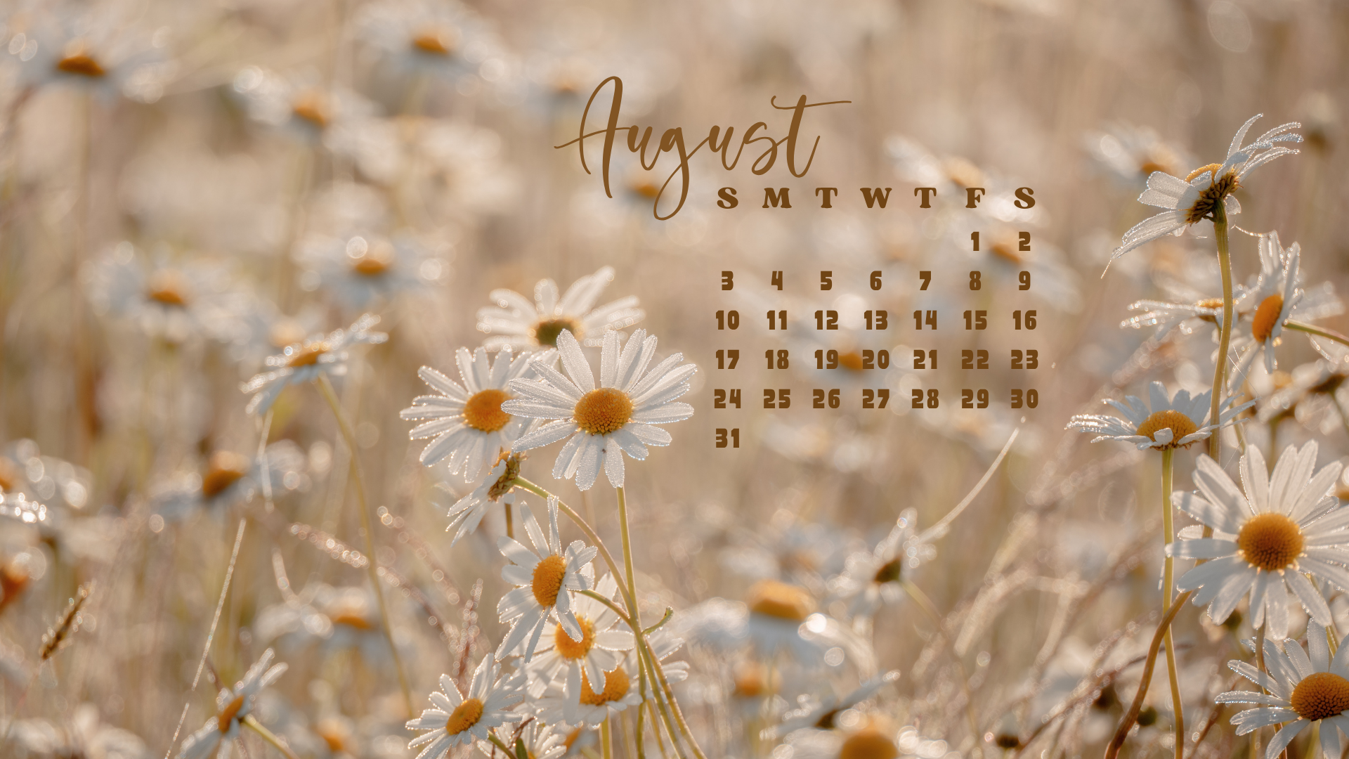 Free August 2025 Desktop Calendar Background (EASY DOWNLOAD)
