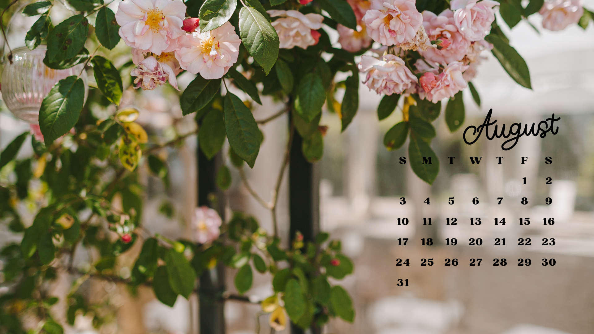 Free August 2025 Desktop Calendar Background (EASY DOWNLOAD)