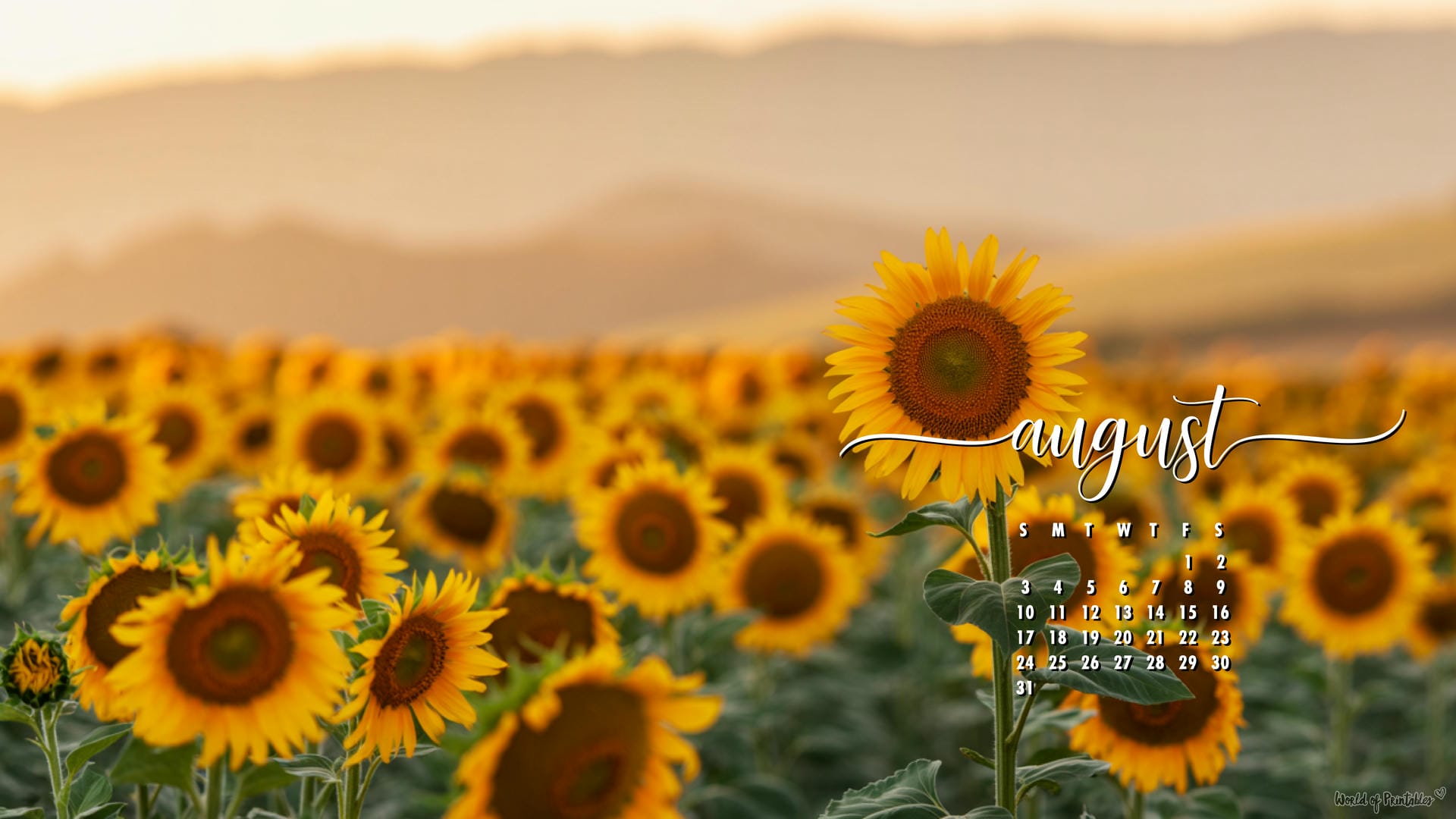 August Calendar Wallpaper Desktop & Phone Background