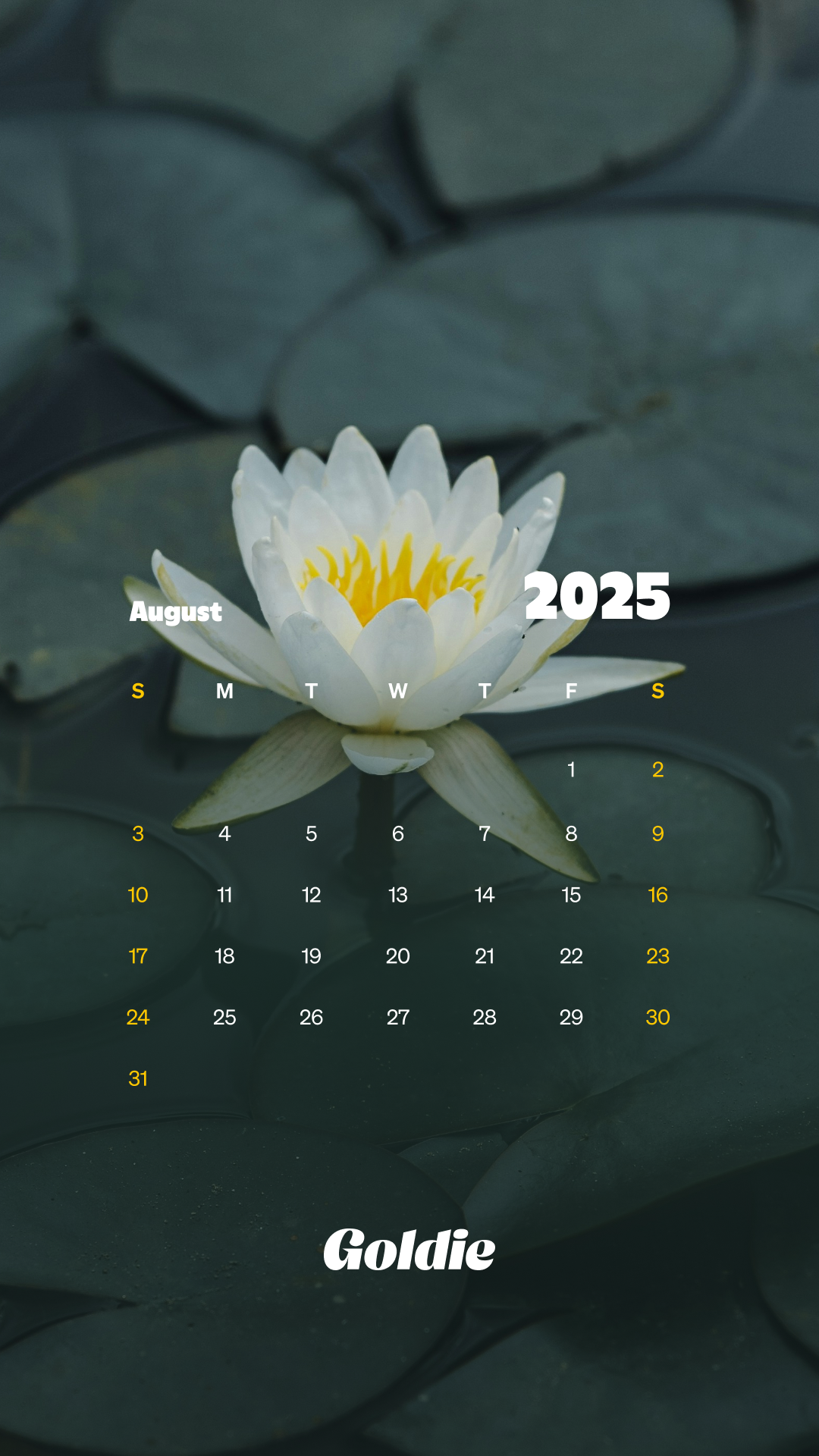 Free August 2025 Calendar Wallpaper