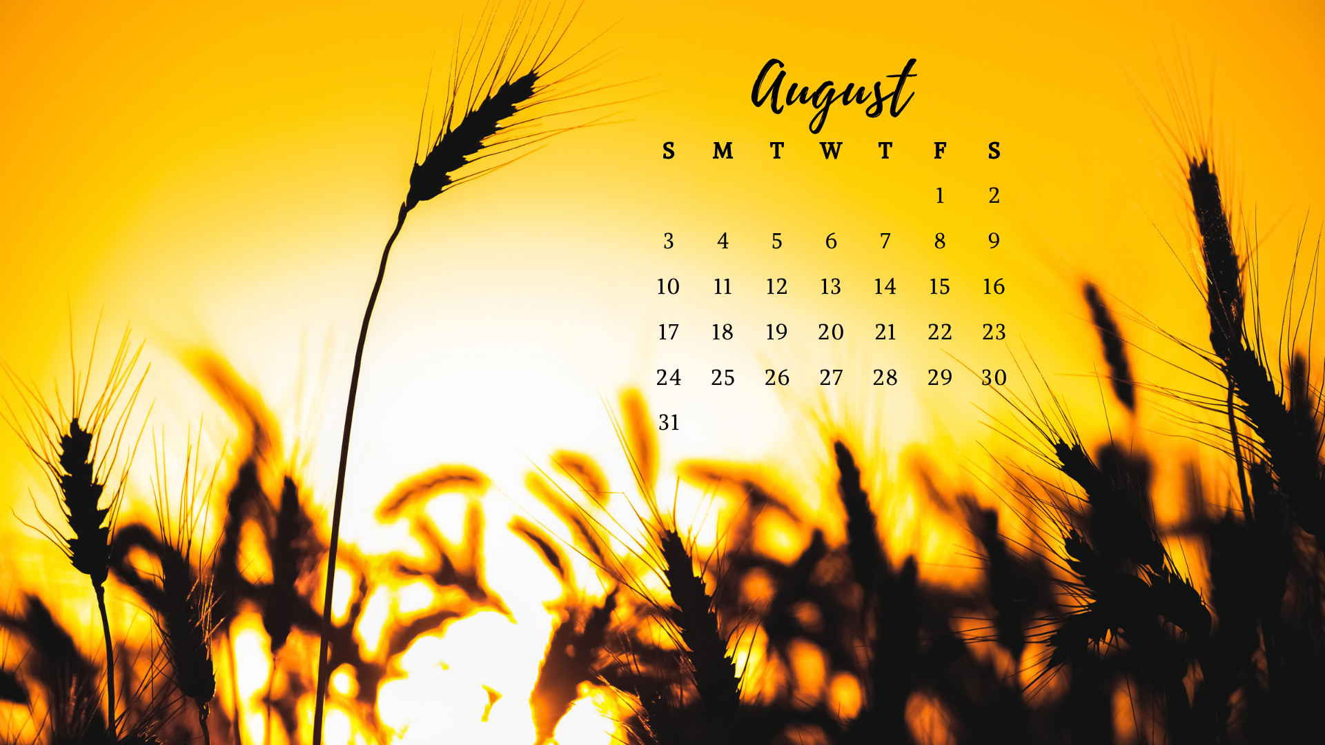 Free August 2025 Desktop Calendar Background (EASY DOWNLOAD)