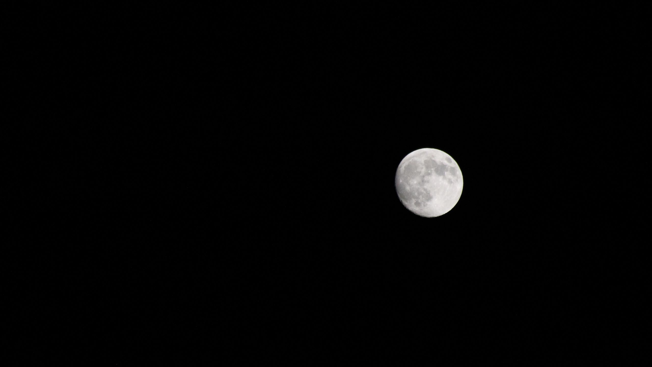 Download wallpaper 2560x1440 moon, full moon, minimalism, bw widescreen 16:9 HD background