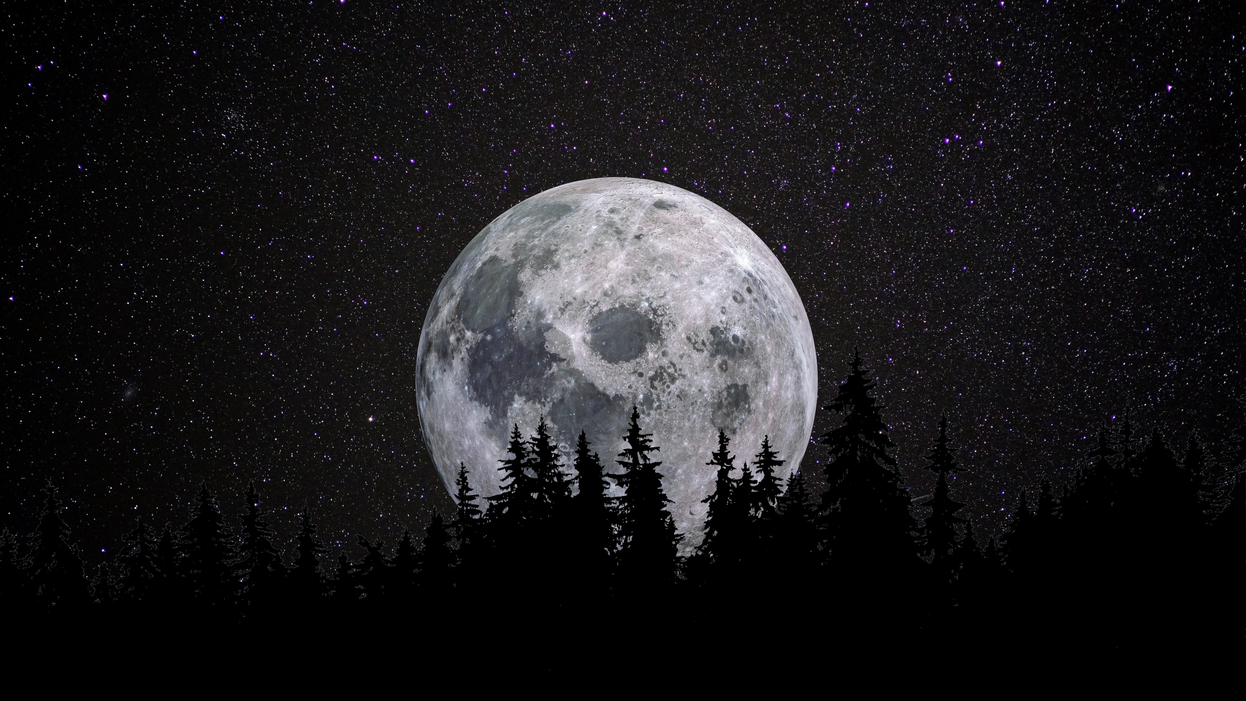 Full moon Wallpaper 4K, Forest, Night, Dark, Starry sky