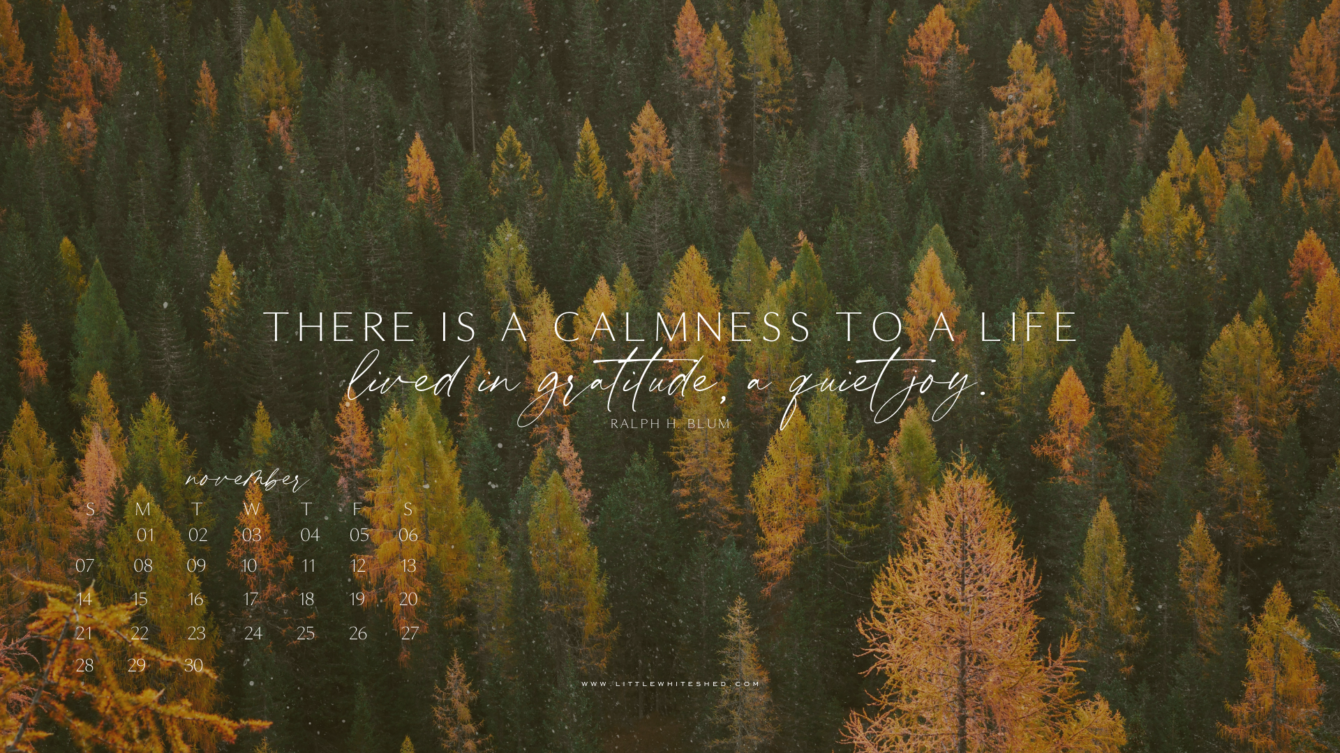 Free Download 2021 Desktop Wallpaper