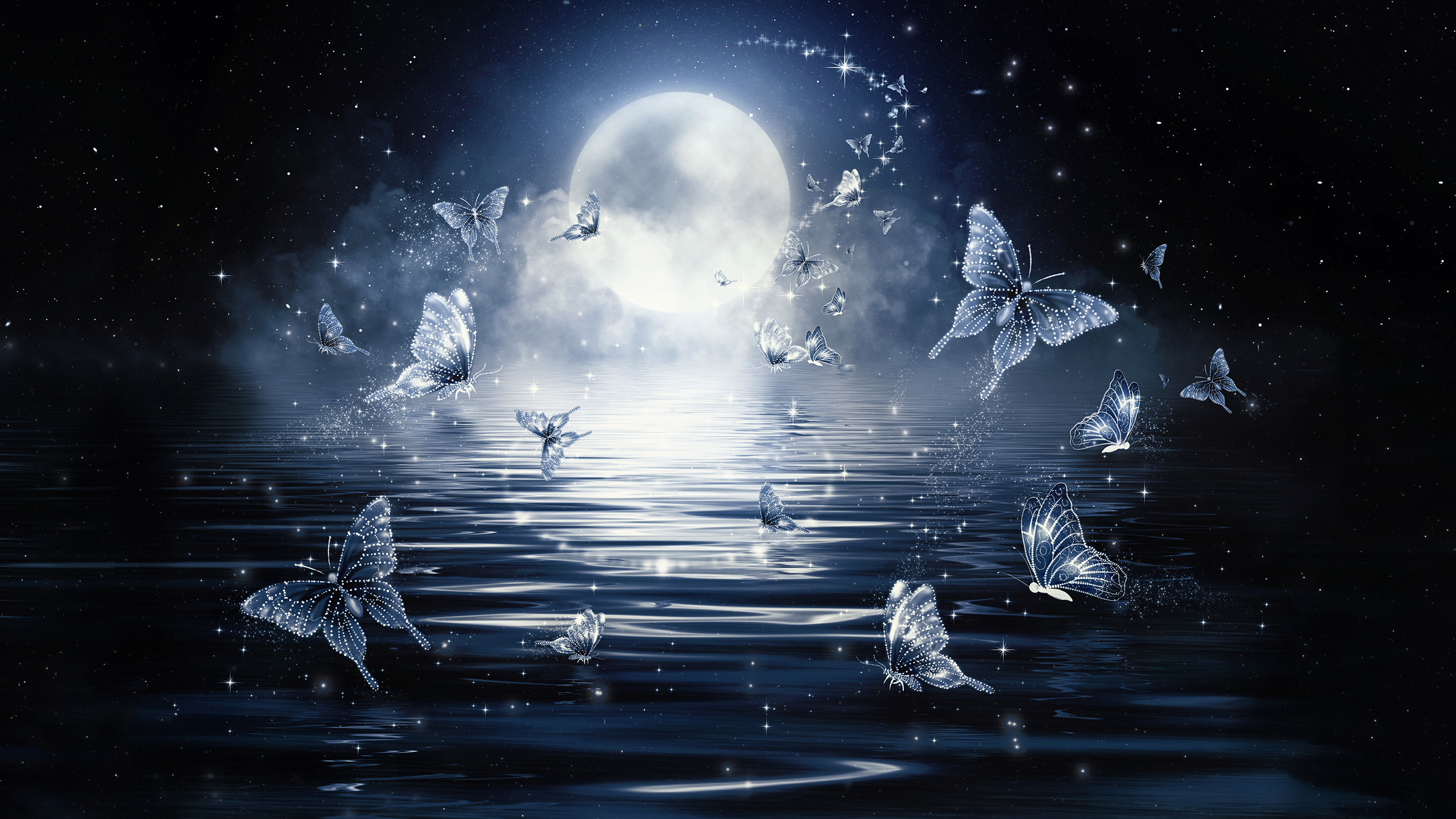 Moon Butterflies 2K Wallpaper x 1440 pxK