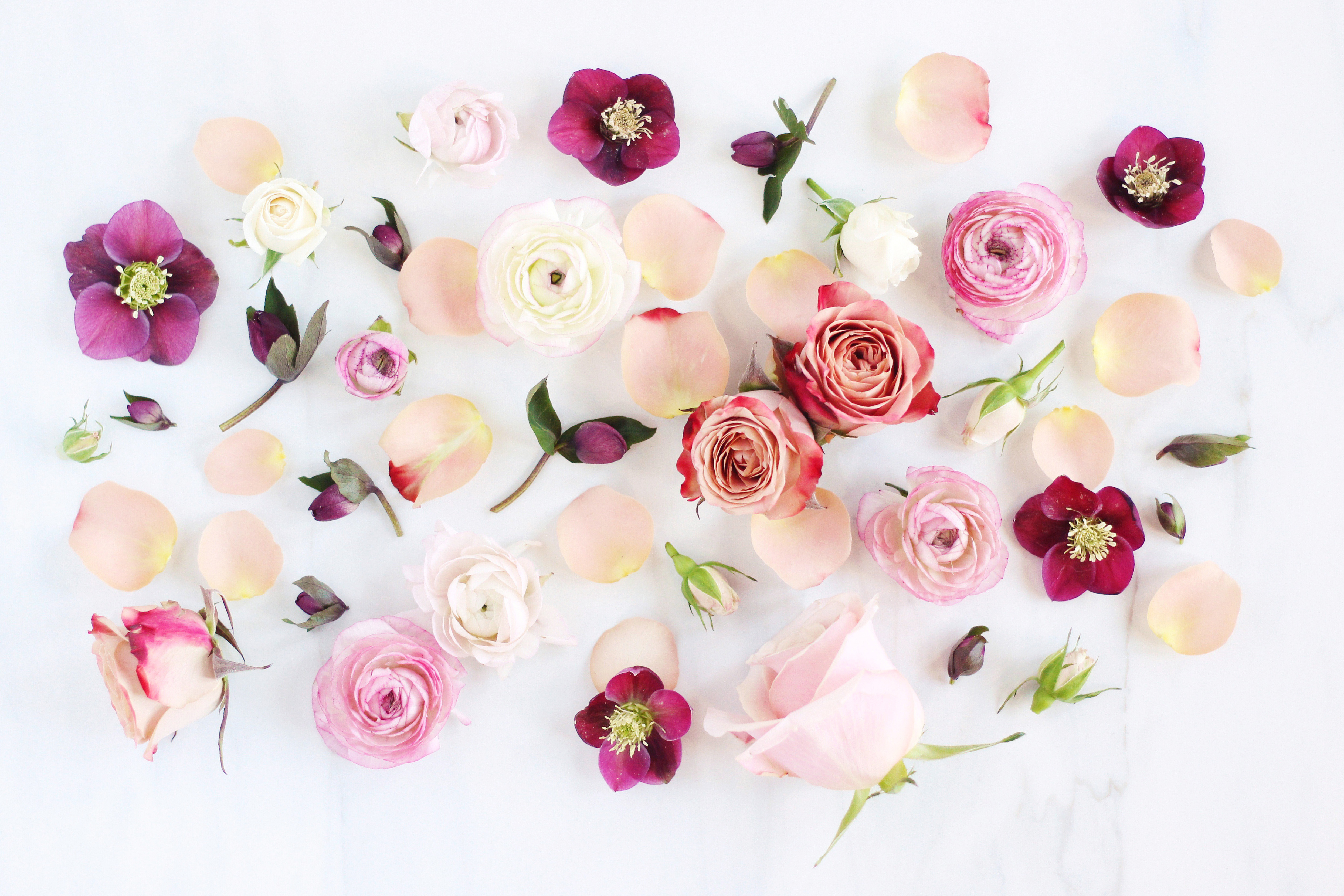 FEBRUARY DIGITAL BLOOMS ROUNDUP FREE TECH WALLPAPERS