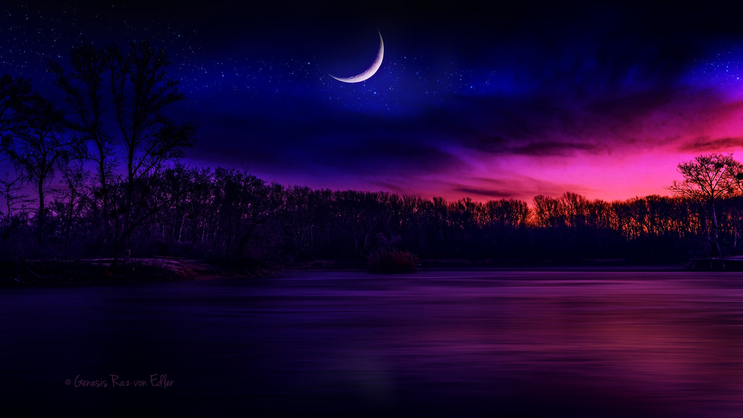 moonlight HD Wallpaper / Desktop and Mobile Image & Photo