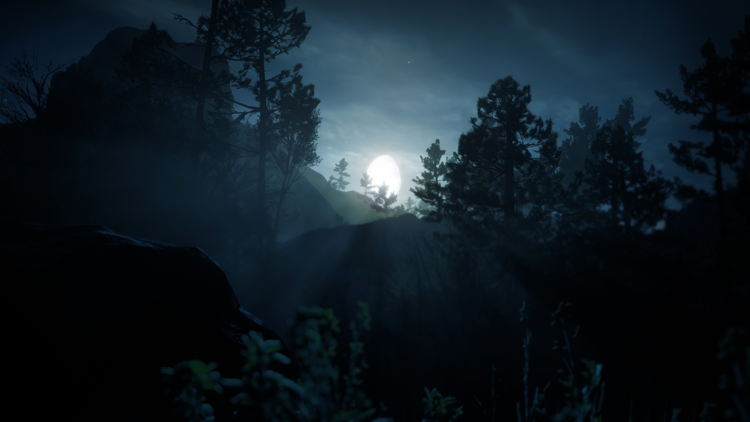 Wallpaper Moon, sky, trees, nature, night, clouds, moonlight, mist for mobile and desktop, section игры, resolution 2560x1440