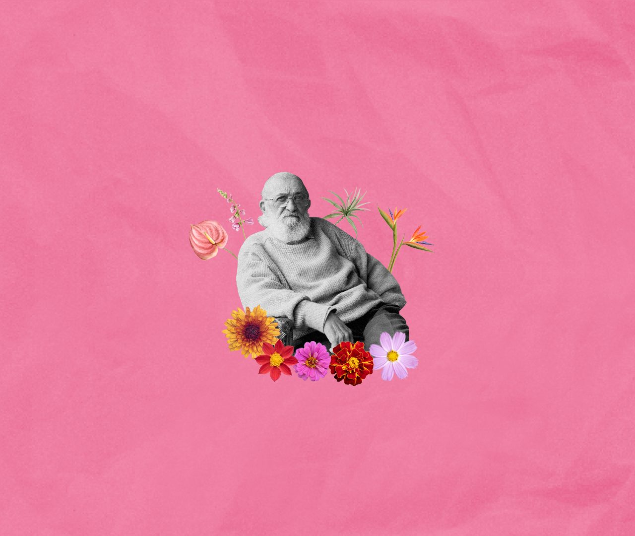 Paulo Freire e a educação transformadora