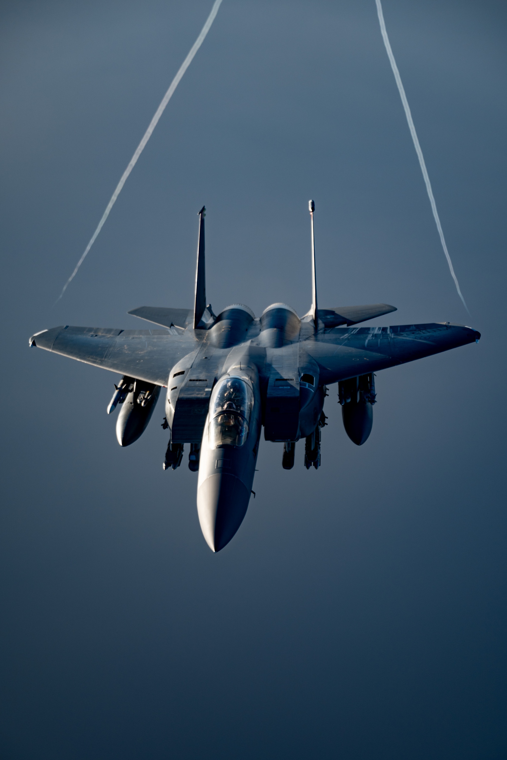 DVIDS Eagle Security [Image 3 of 11]