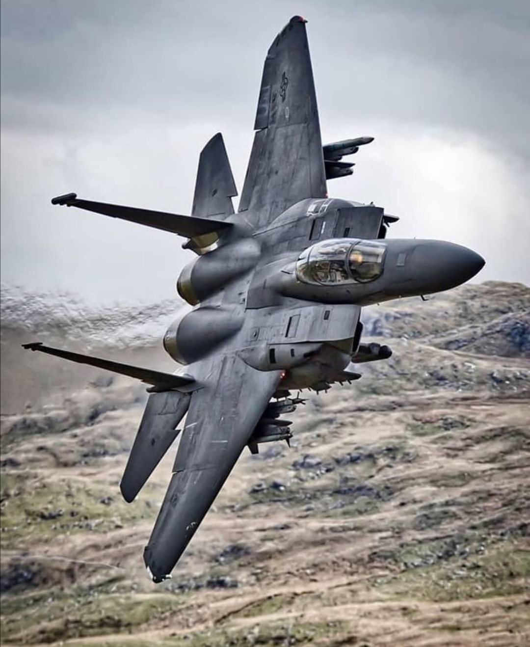 F 15E Strike Eagle [1080x1380]