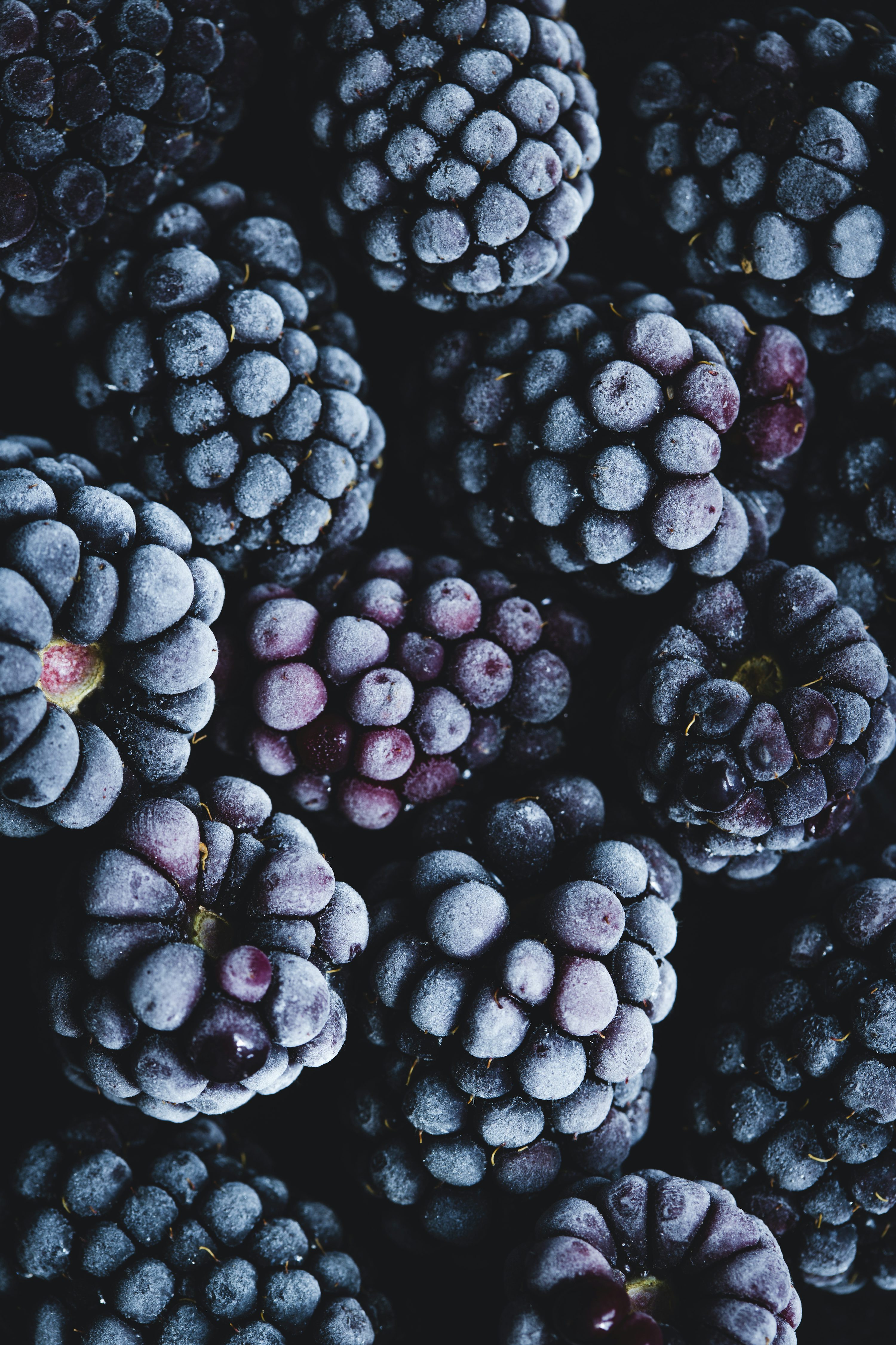 A close up of a bunch of blackberries photo