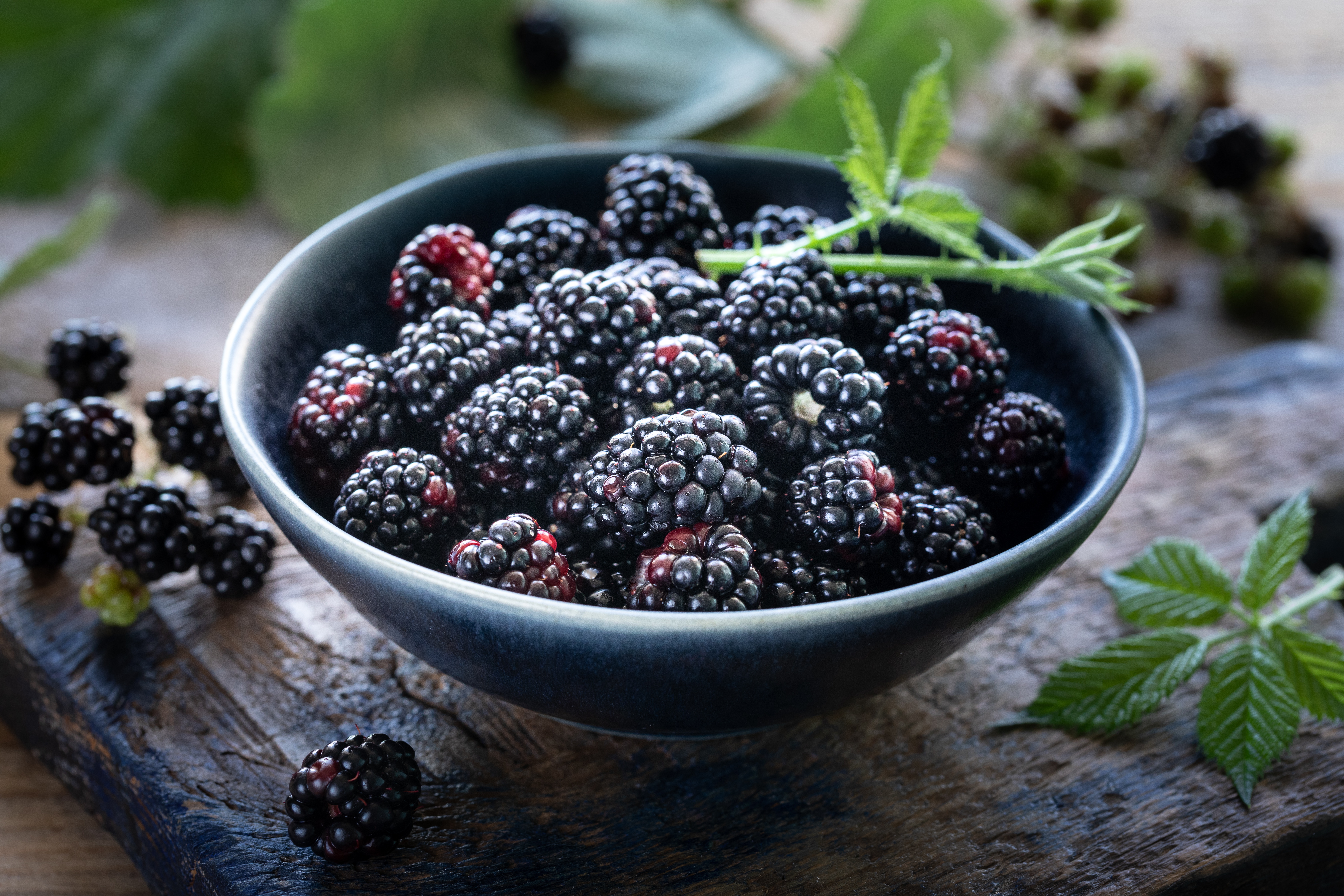 Download Still Life Fruit Berry Food Blackberry 4k Ultra HD Wallpaper
