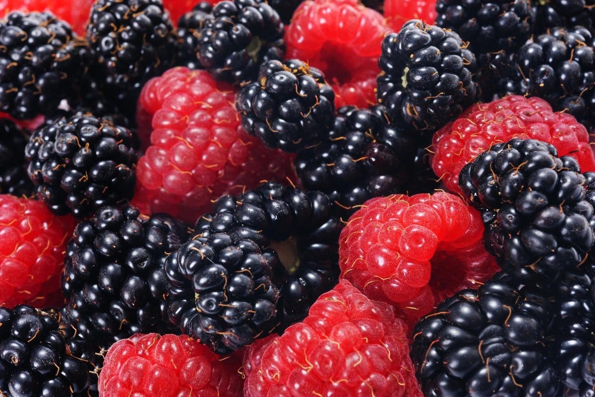 What is the Difference Between a Raspberry and a Blackberry?