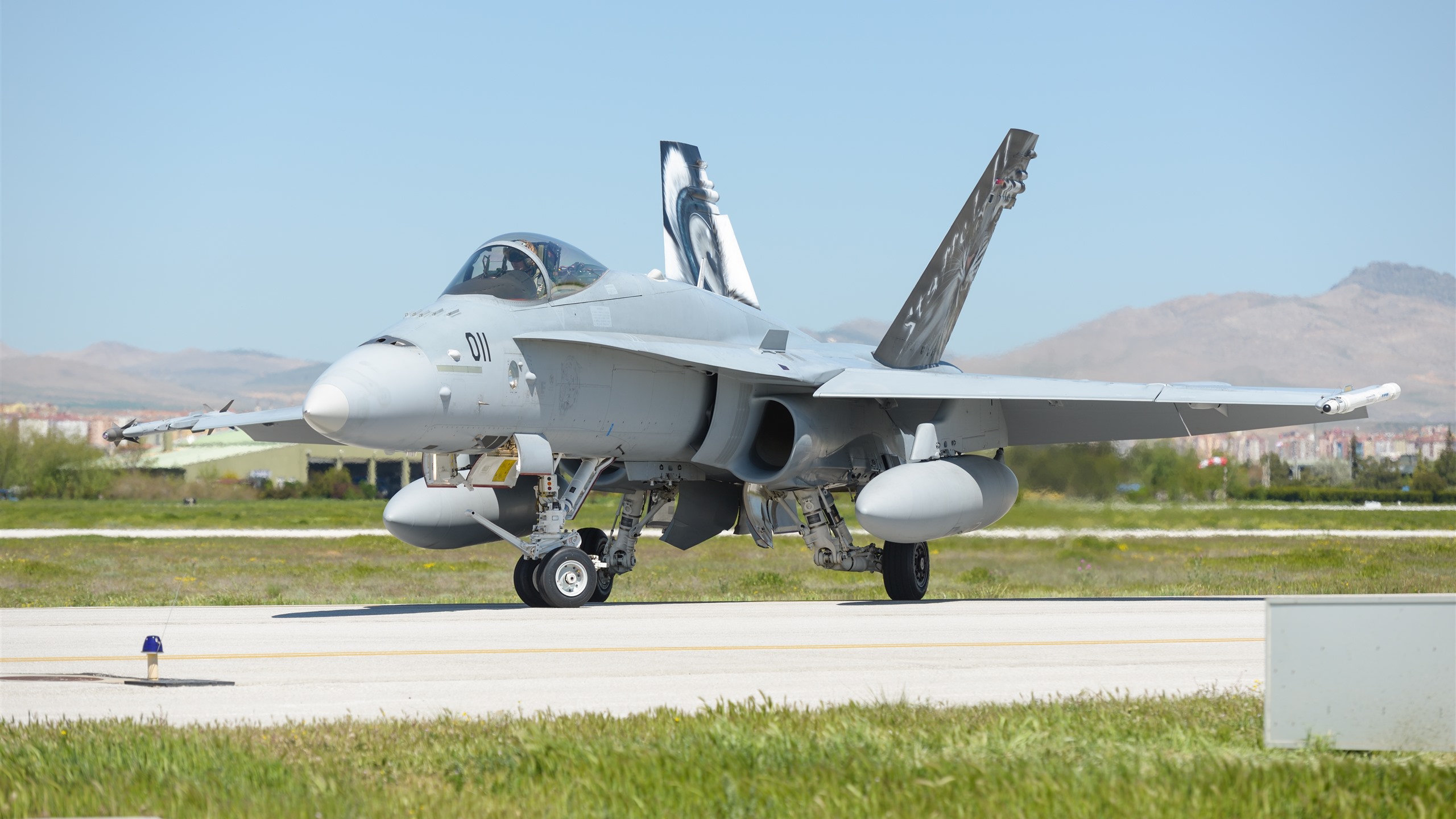 Wallpaper McDonnell Douglas F 18C Fighter 5120x2880 UHD 5K Picture, Image
