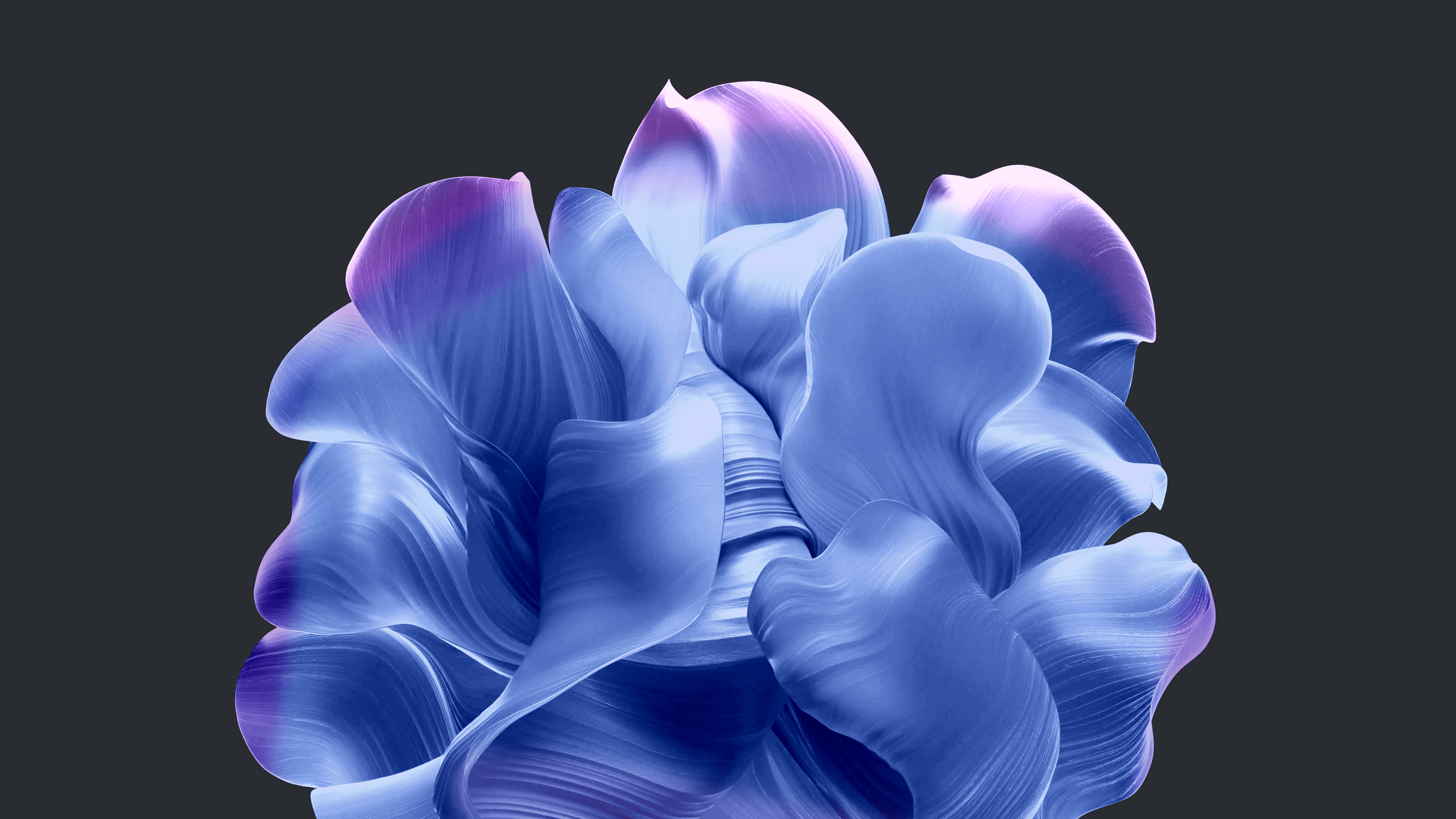 Windows 11 Wallpaper 4K, Dark theme, Bloom collection