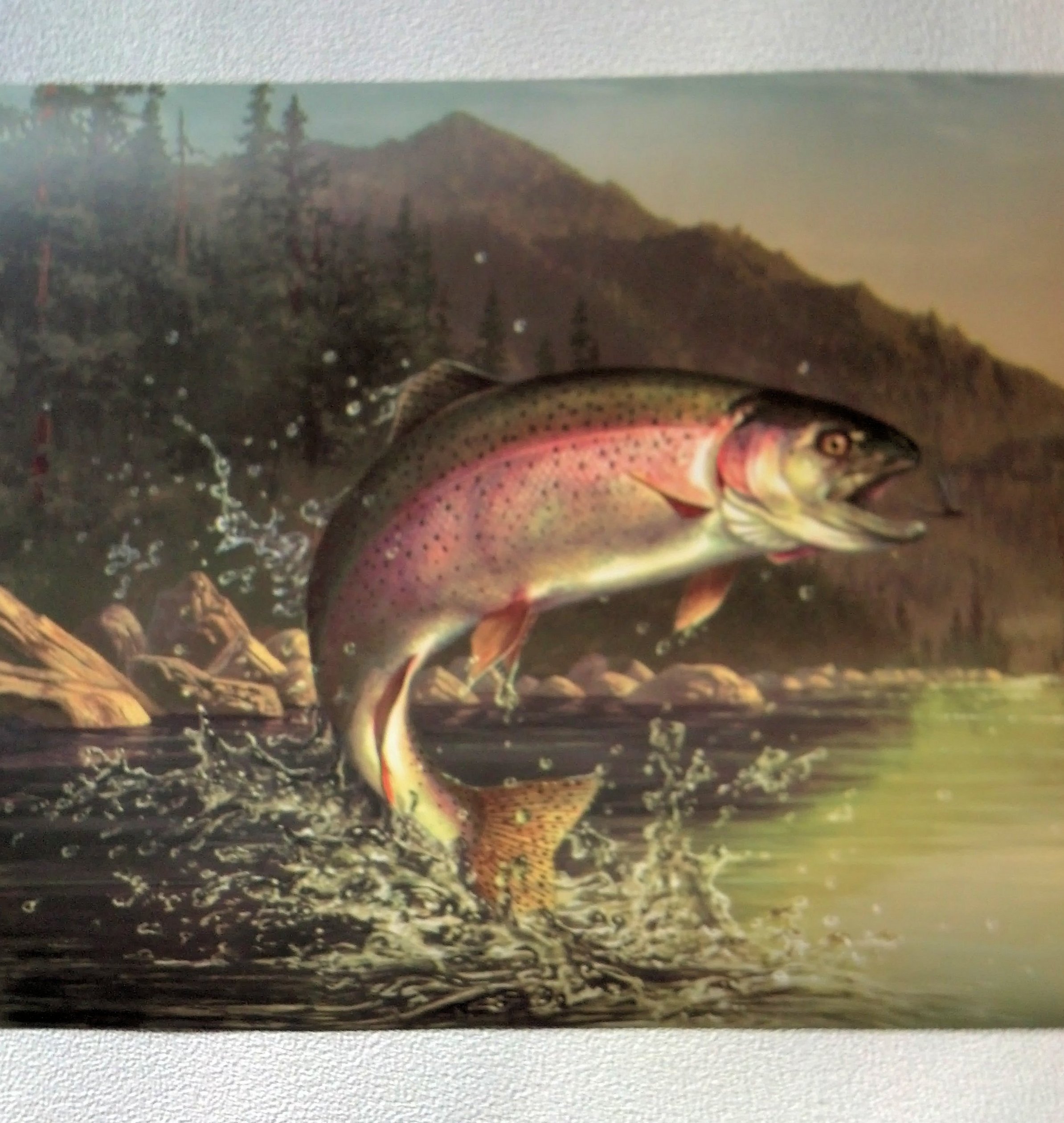 Fishing Rainbow Trout Wallpaper Border Dark Hb112191b