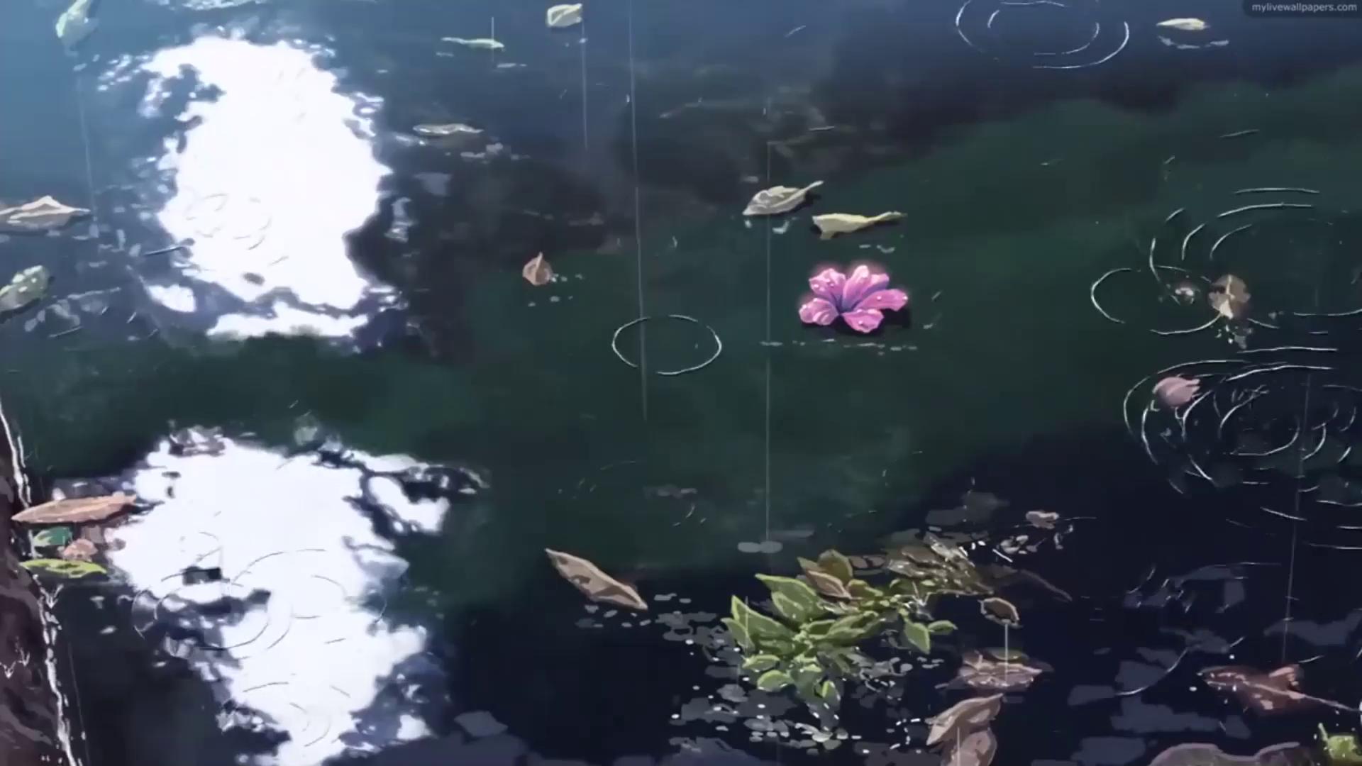 Rainy Lake Live Wallpaper