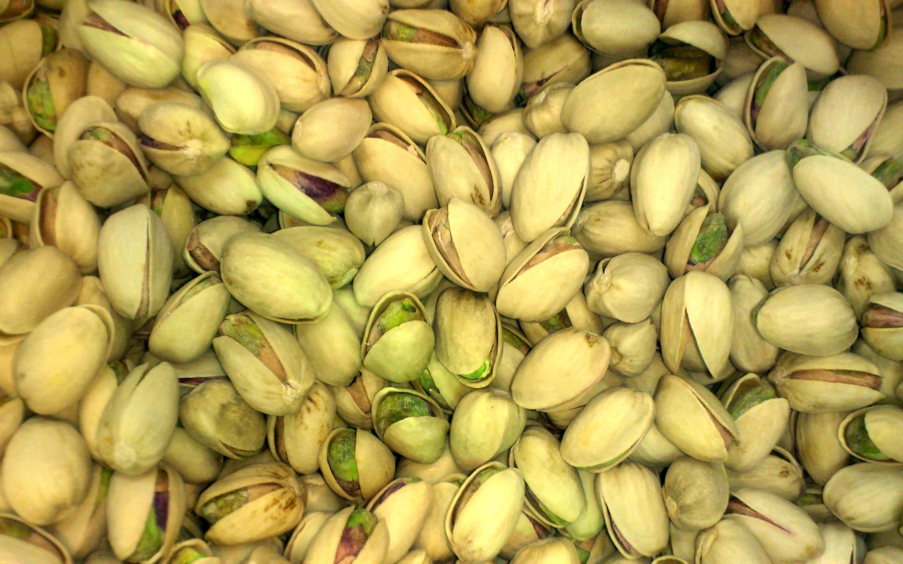 Download Food Pistachio HD Wallpaper