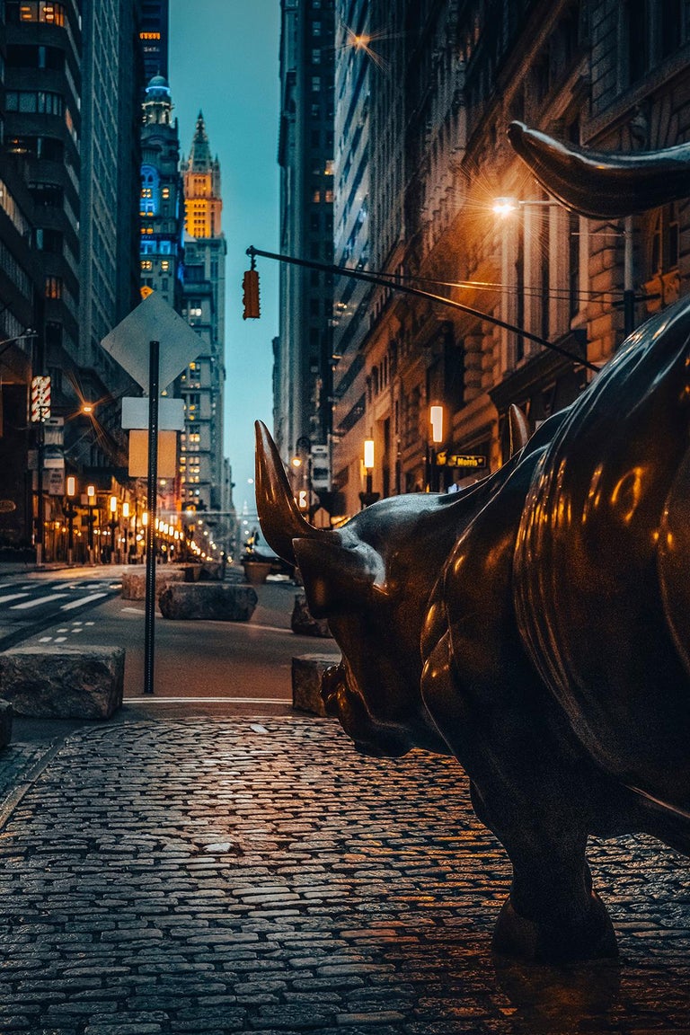 Wall Street Bull Photography, 54x36, Signed Limited Edition of 5