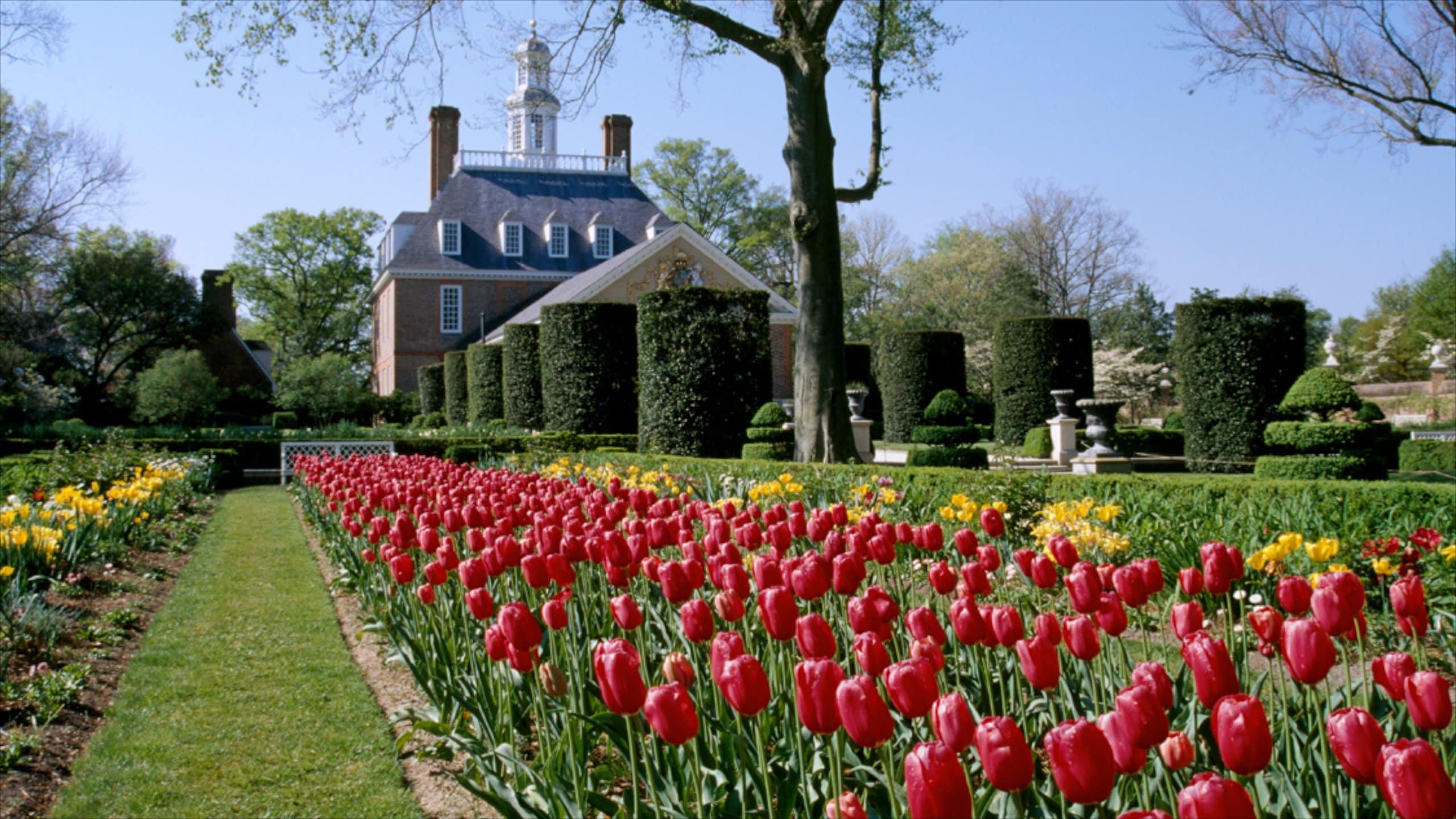 Visit Williamsburg: 2025 Travel Guide for Williamsburg, Virginia