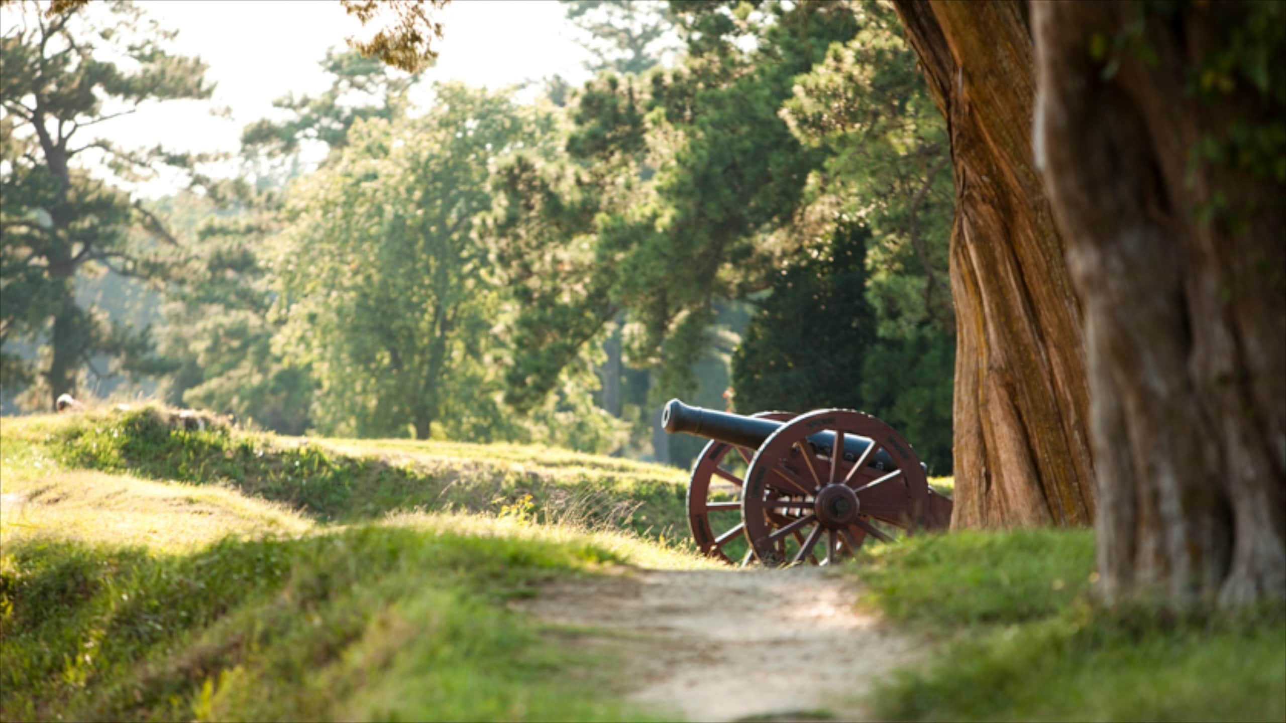 Visit Williamsburg: 2025 Travel Guide for Williamsburg, Virginia