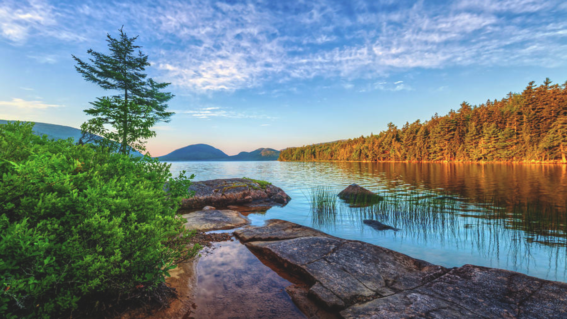 A Photographer's Guide to Seeing the Best of Bar Harbor