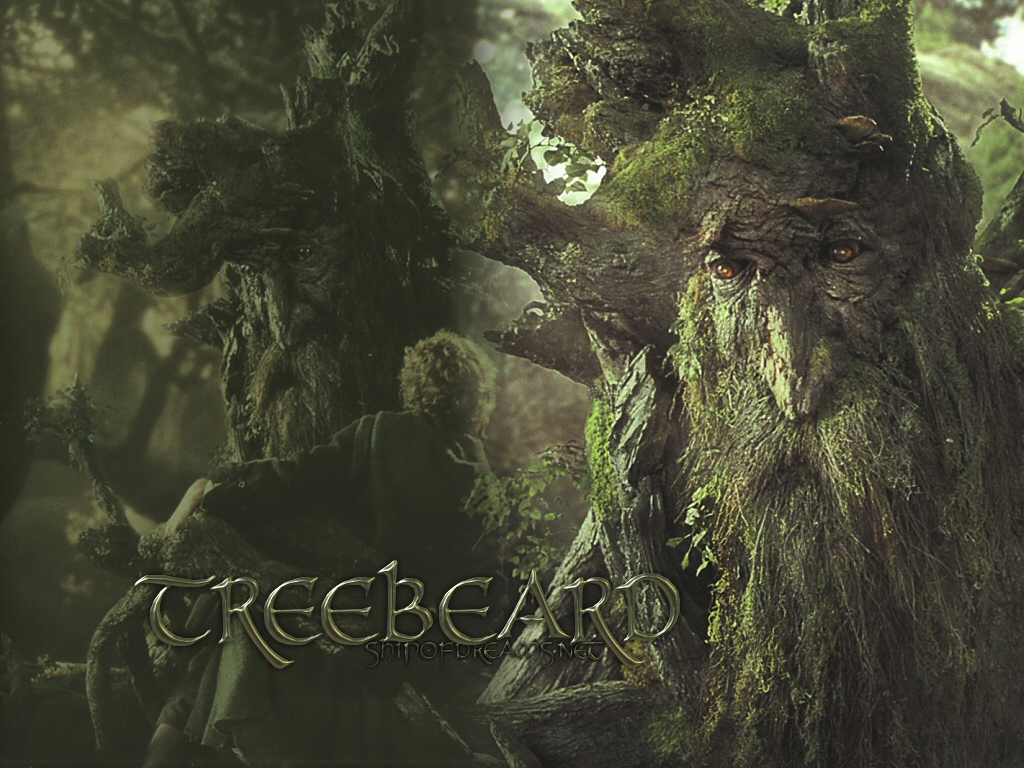 Ents Ent Treebeard wallpaper image Tirith of the Rings