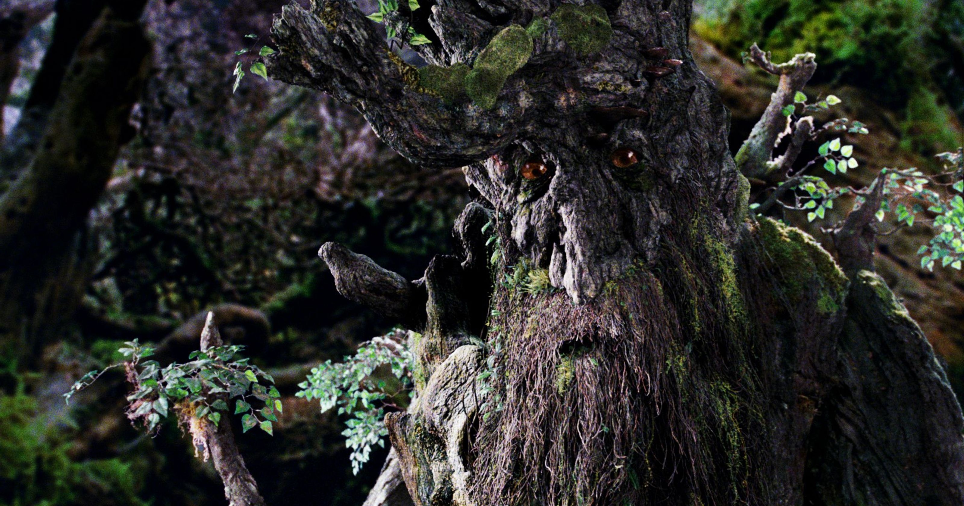 Ents (The Lord of the Rings) Wallpaper