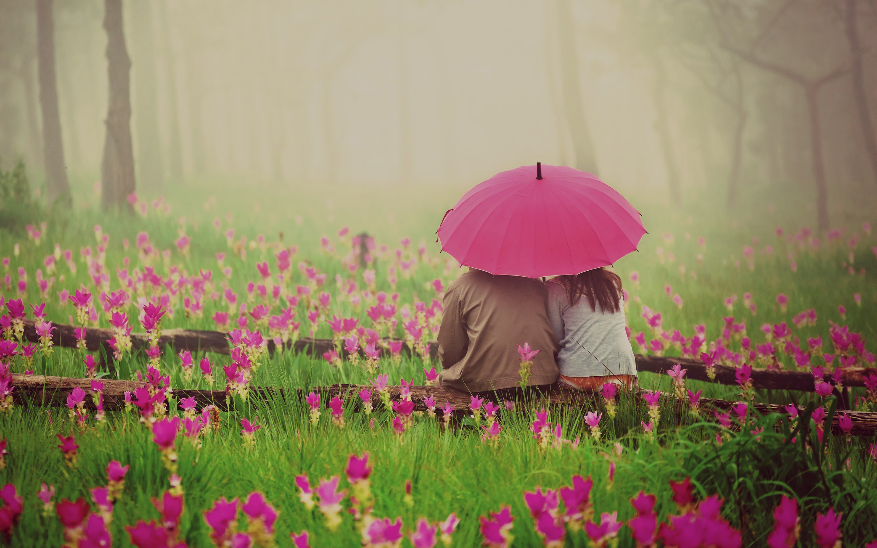 Love in Bloom: A Romantic HD Wallpaper with Umbrellas and Flowers