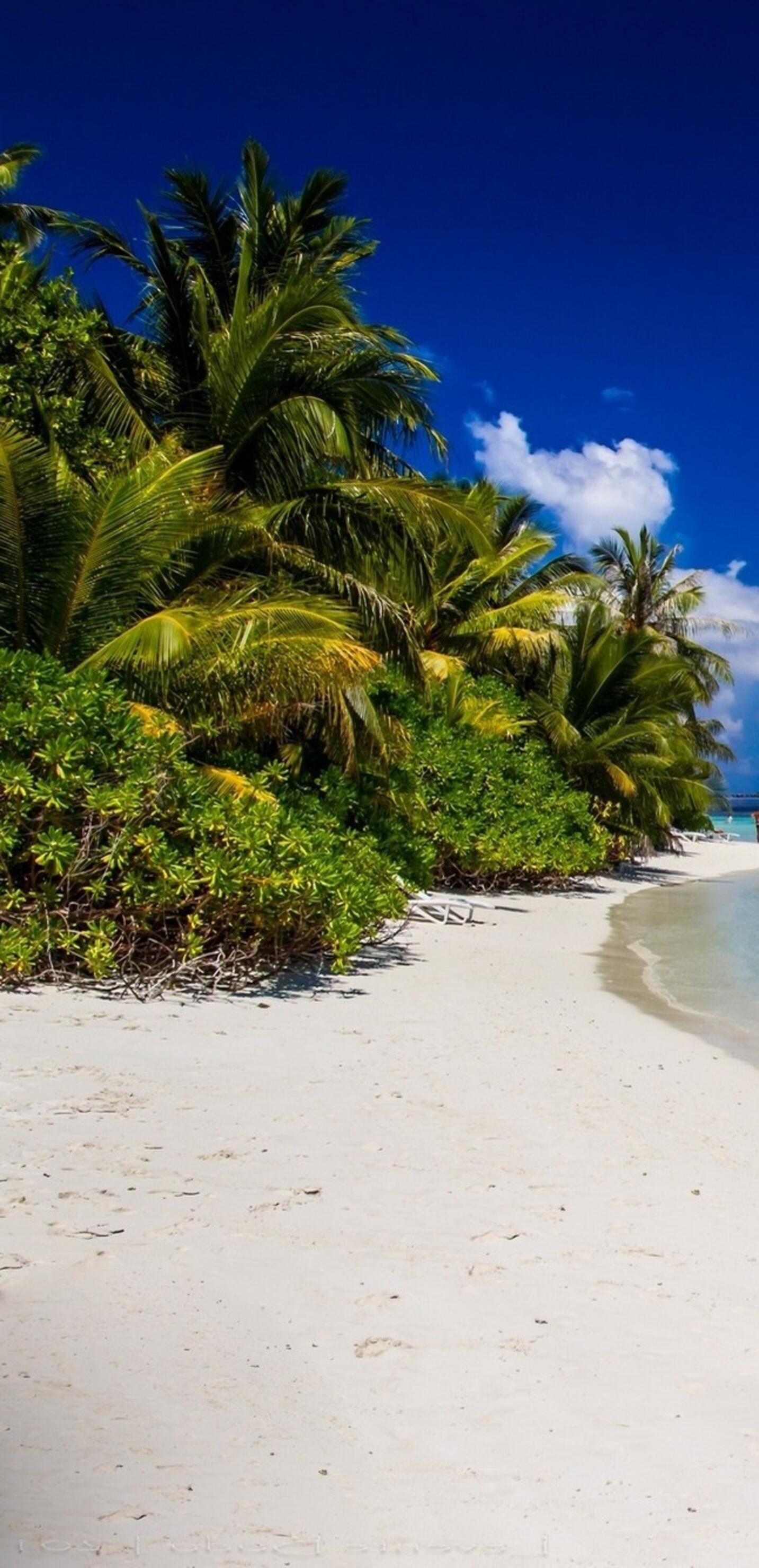 Wallpaper vacation on the beach with white sand · 1440x2960 QHD free photo from bradeya and wallpaper