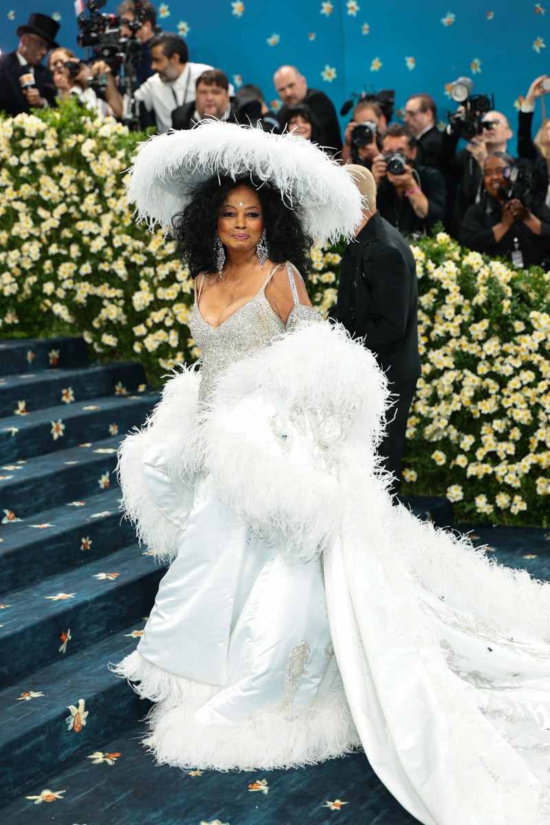Met Gala 2025 Photo: Best Red Carpet Picture