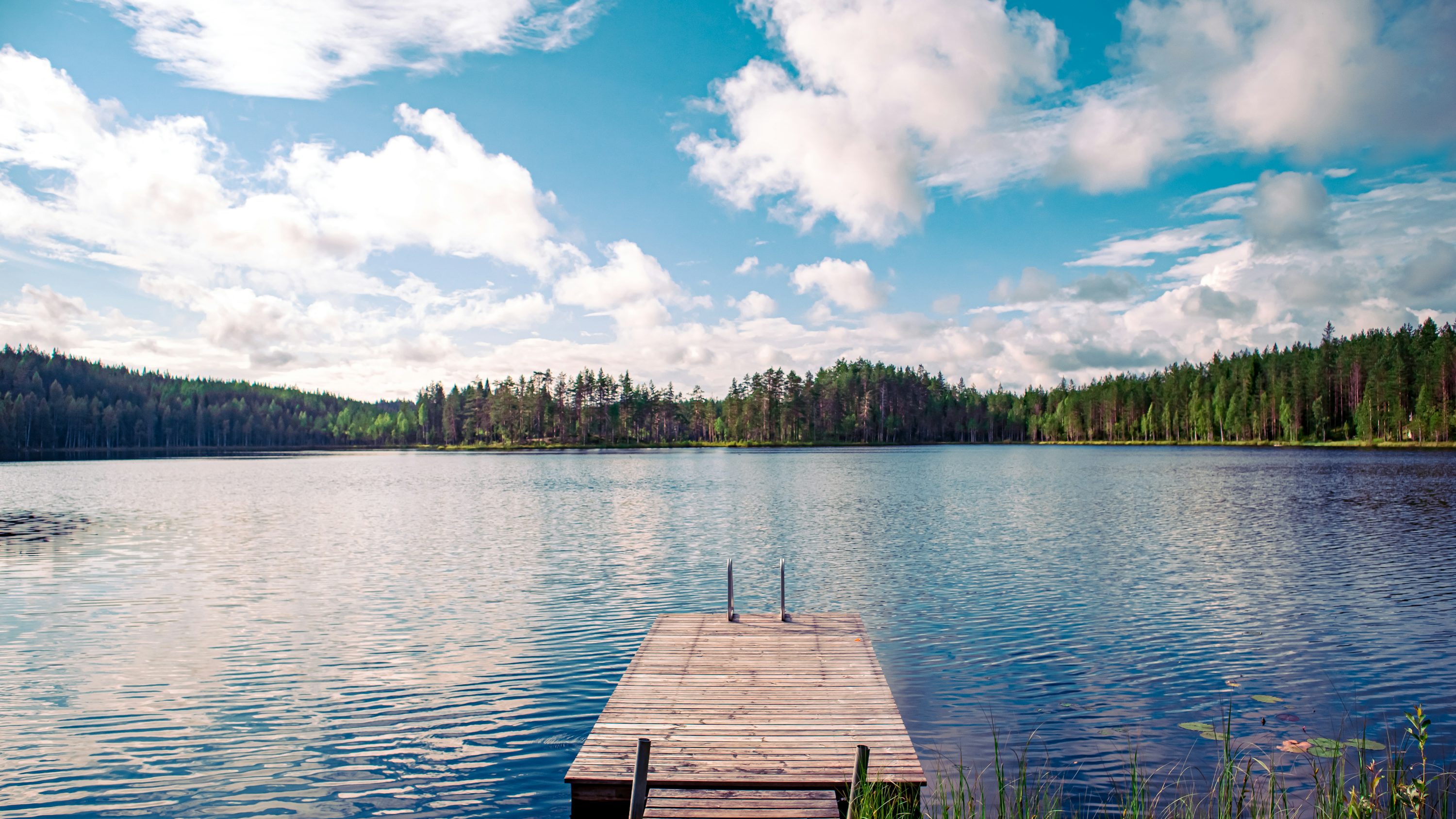 Summer Lake Picture. Download Free Image