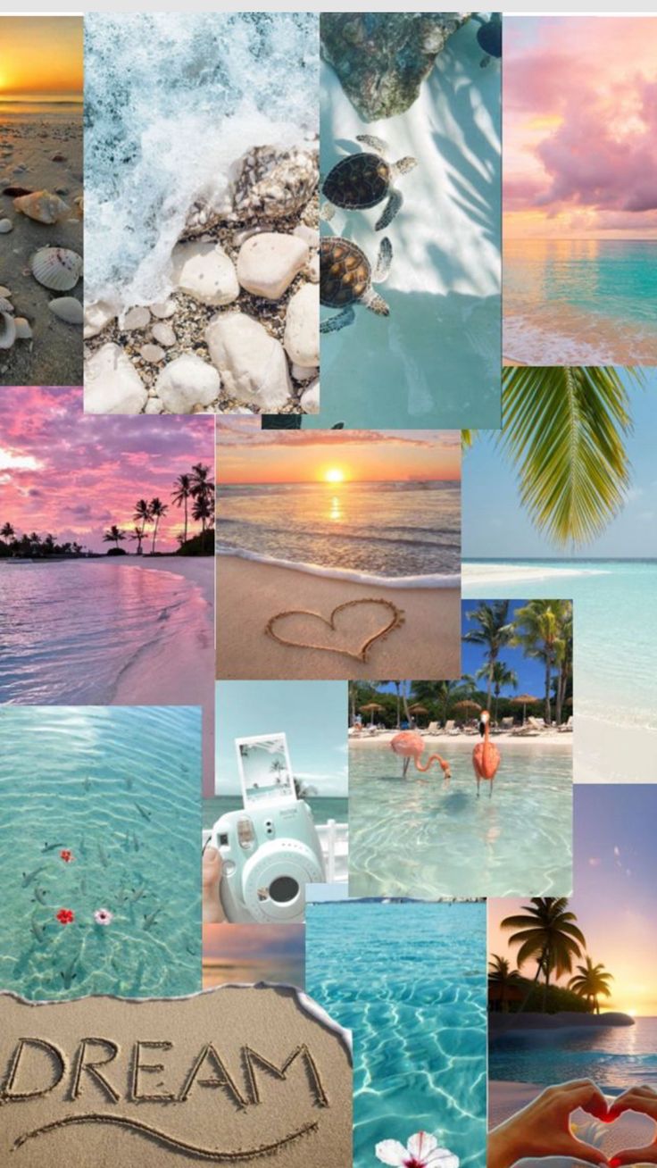 Beach Background