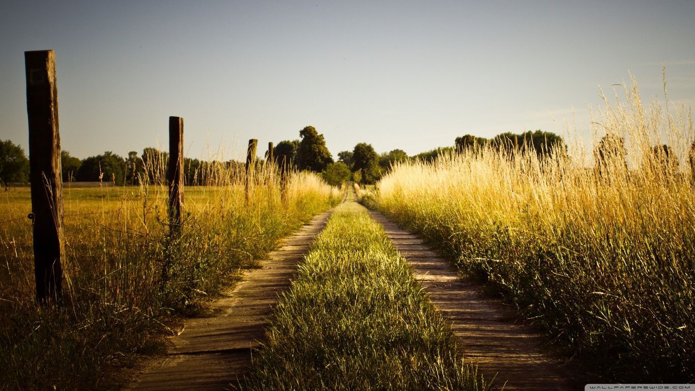 Country Road, Late Summer HD desktop wallpaper High Definition