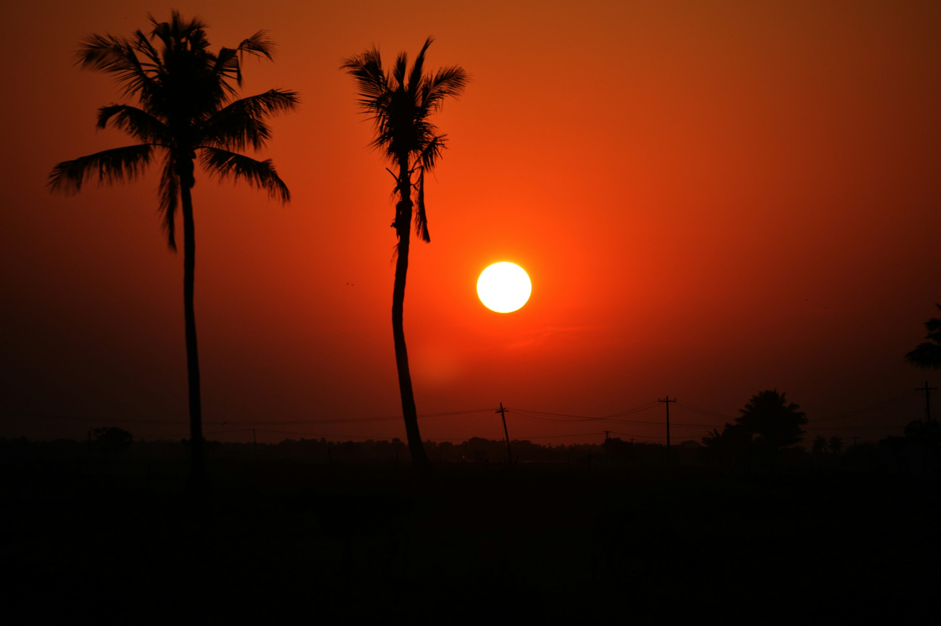 Sunset Color Picture. Download Free Image