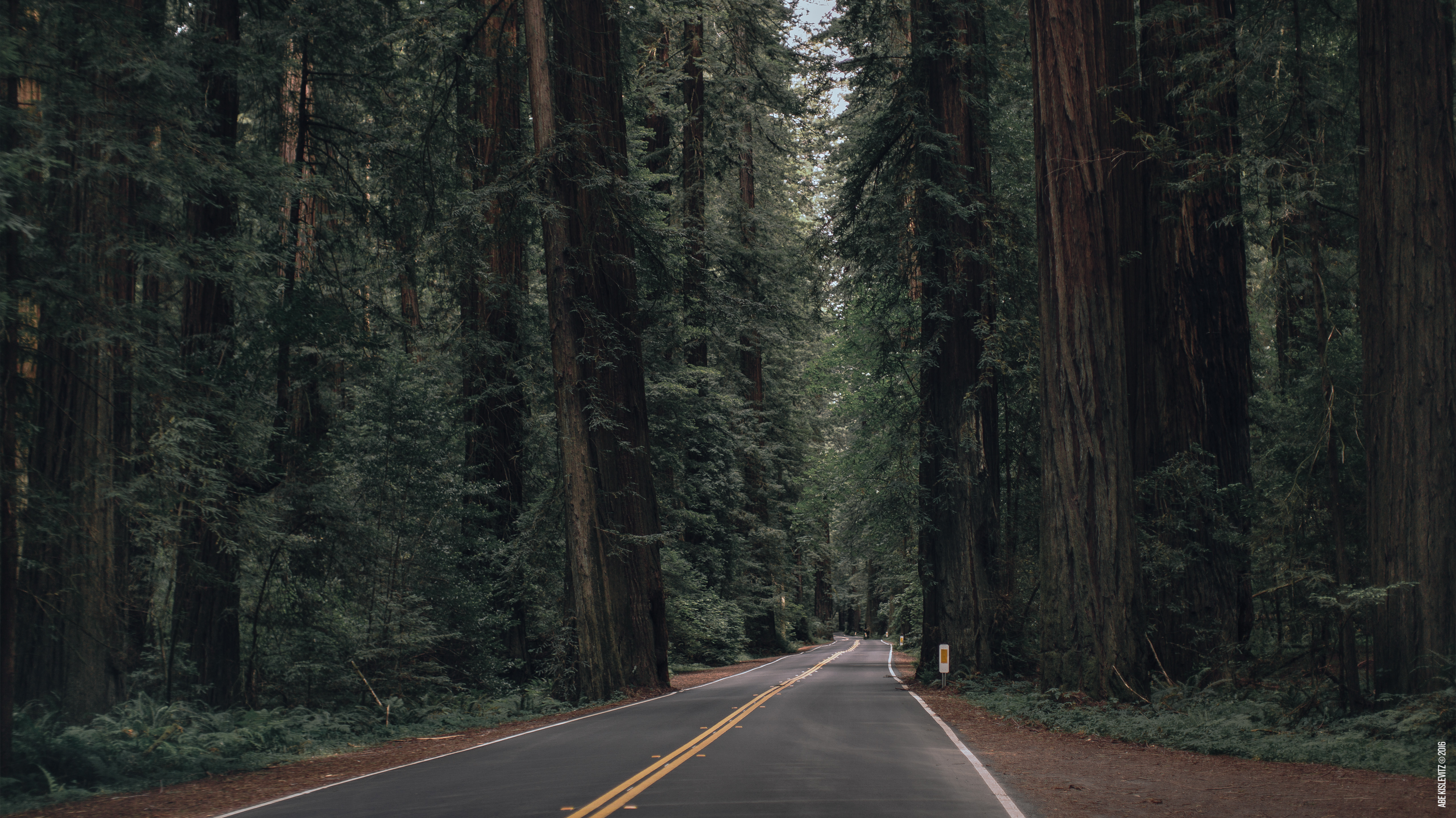 Wallpaper of the Month