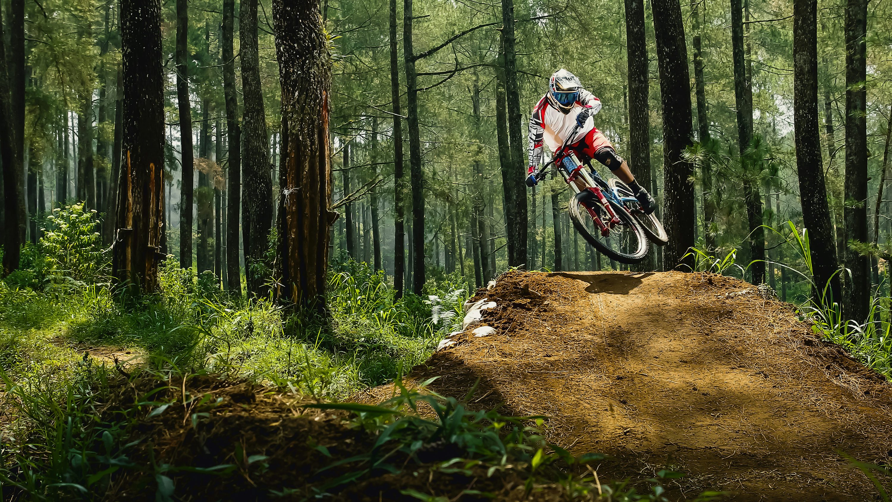 Mountain Bike Picture. Download Free Image