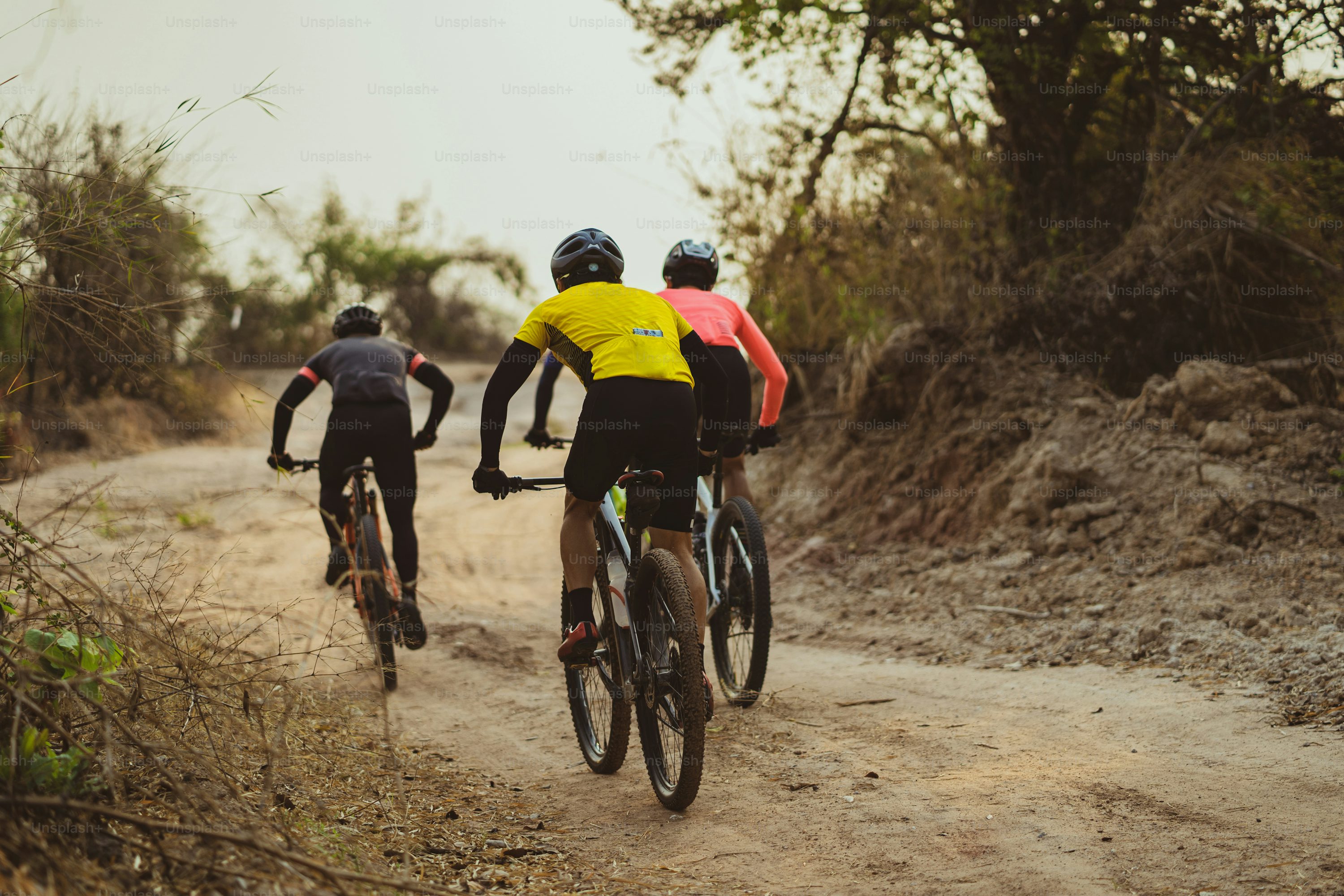 Mountain Bike Picture. Download Free Image