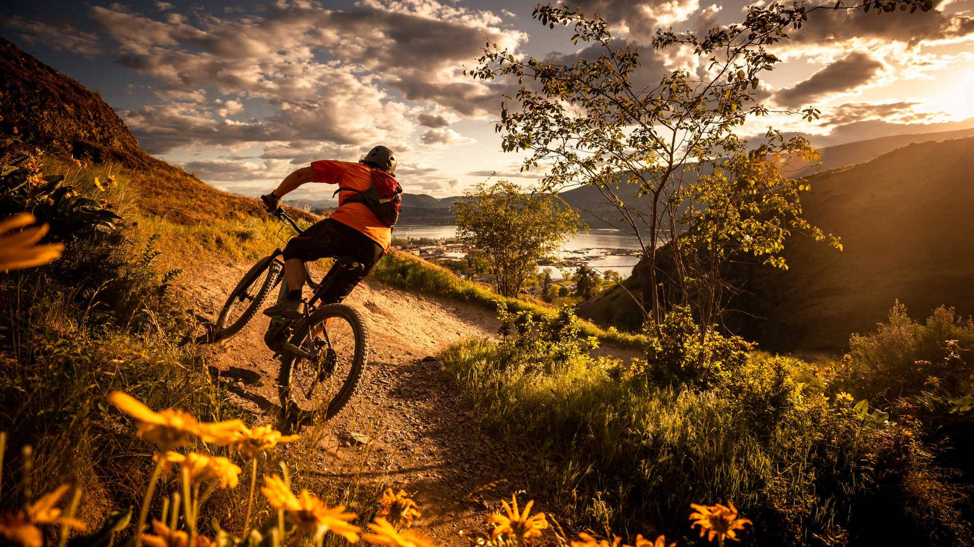 Mountain Biking Wallpaper