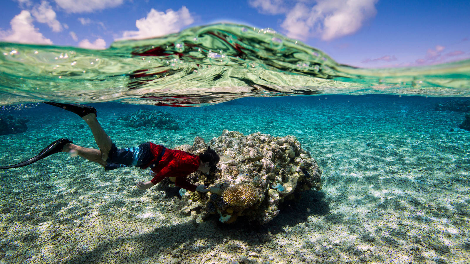 Fa'a Samoa: The National Park of American Samoa · National Parks Conservation Association