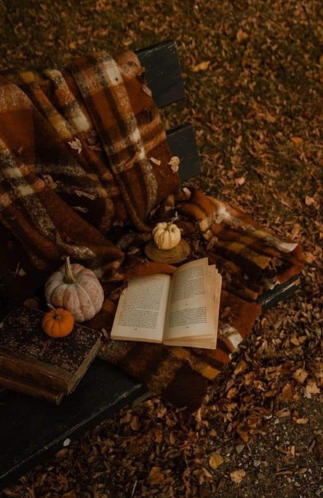 Nostalgic Academia'm ready for autumn, crisp air, Halloween feel, dark books, and warm clothes