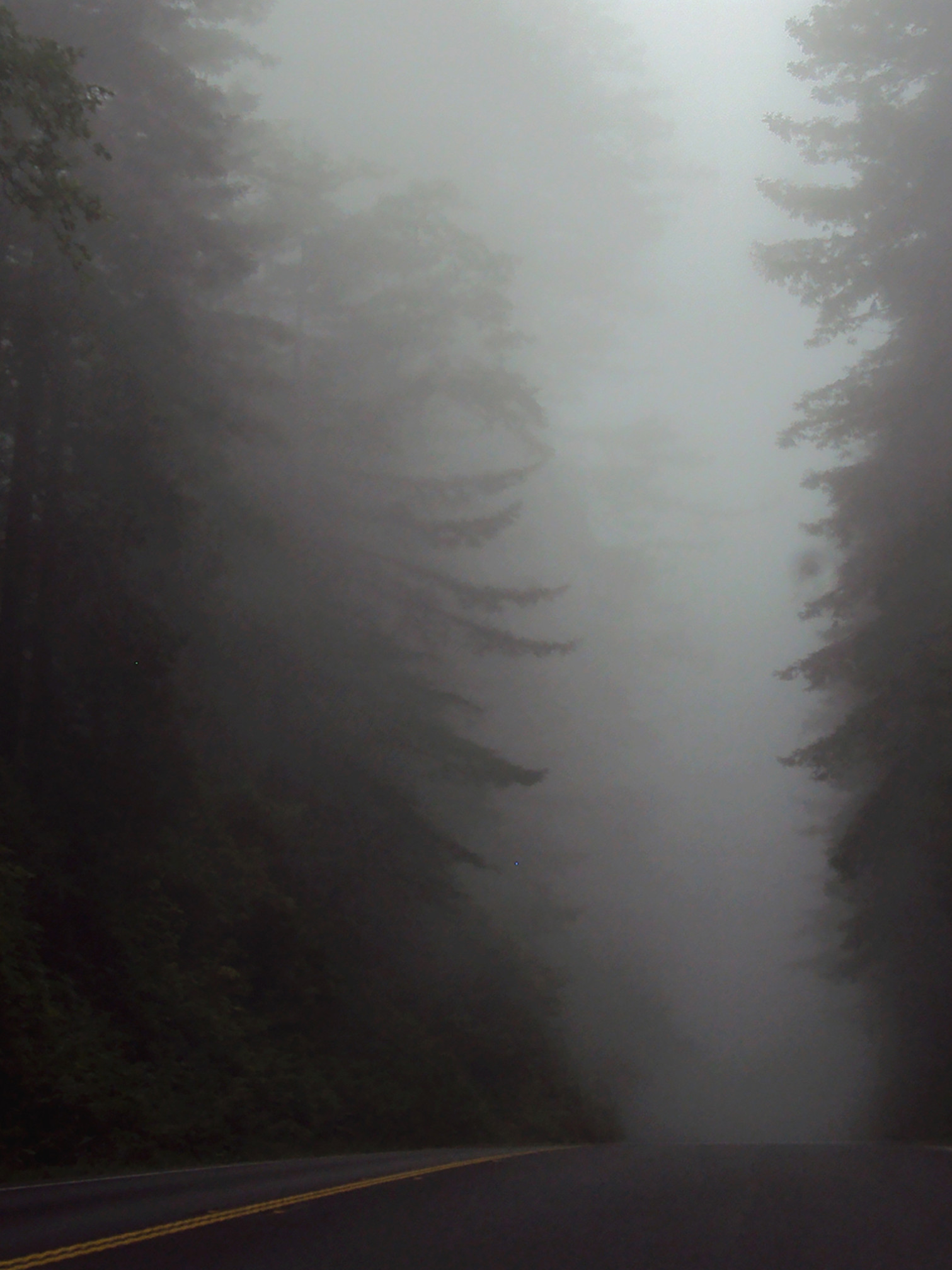 mobile phone wallpaper and lock screen wallpaper!