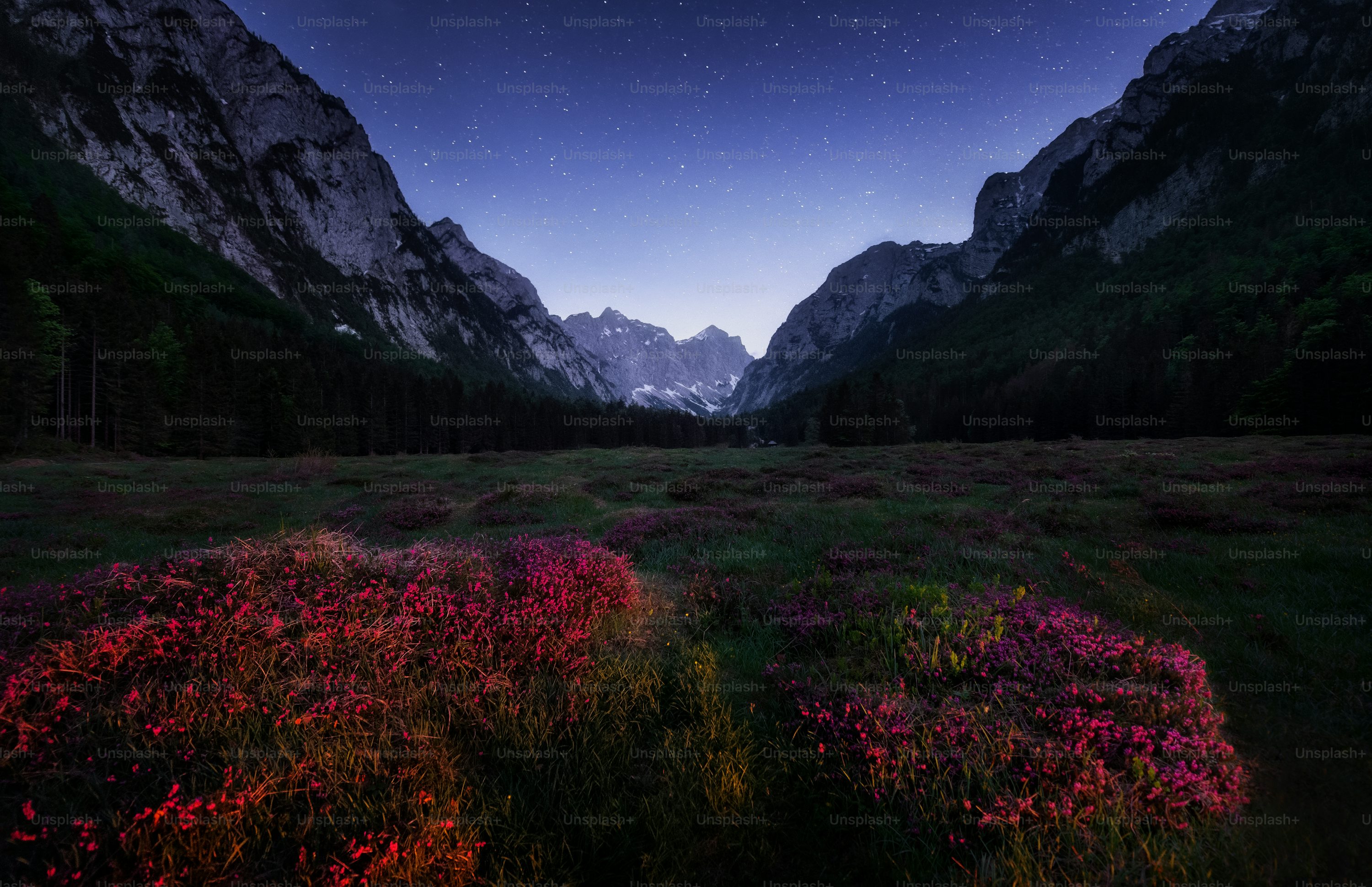 Beautiful Night Picture [HD]. Download Free Image