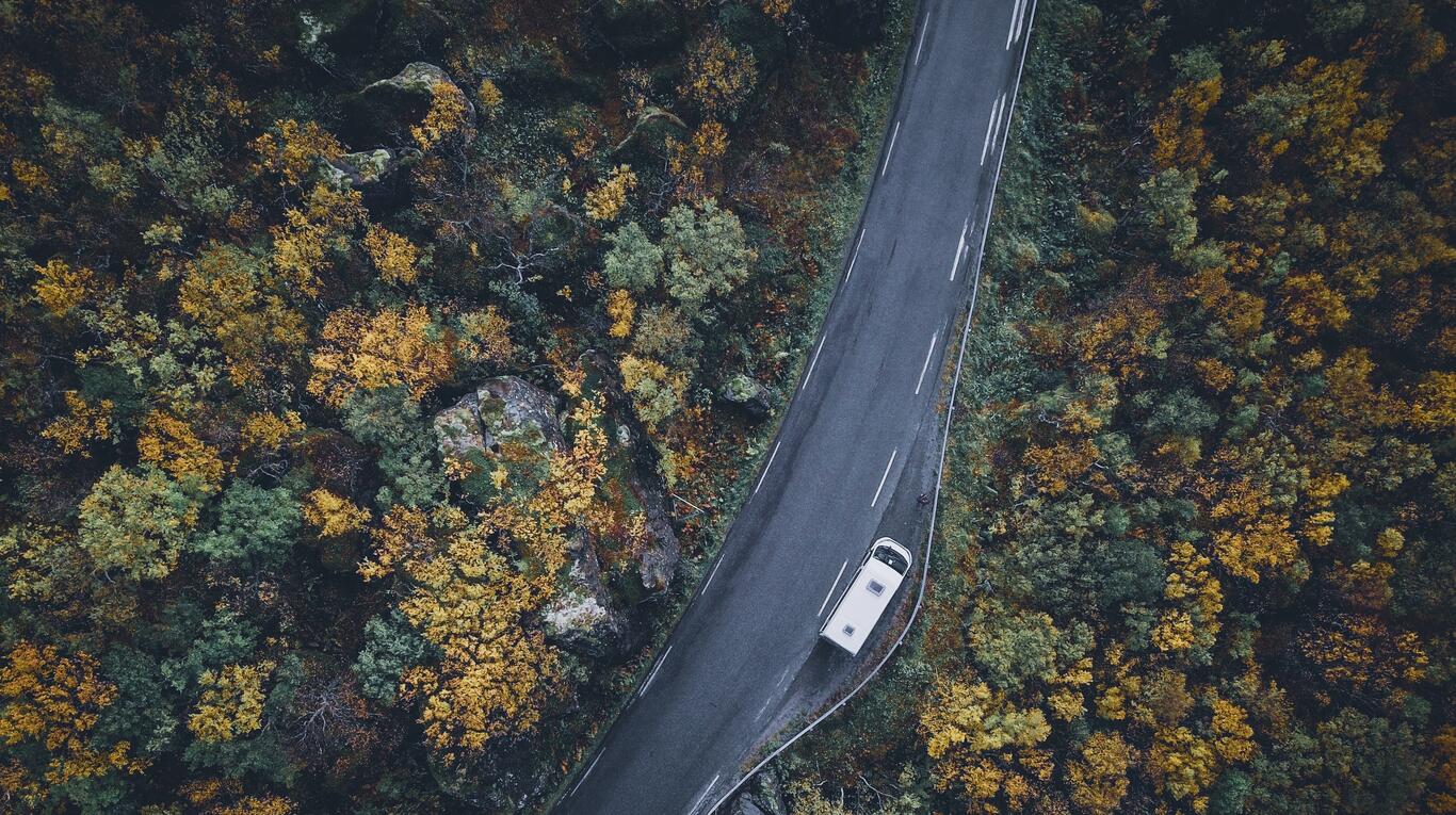 Wallpaper wallpaper road trees view from thex768 from chappie image and screensavers