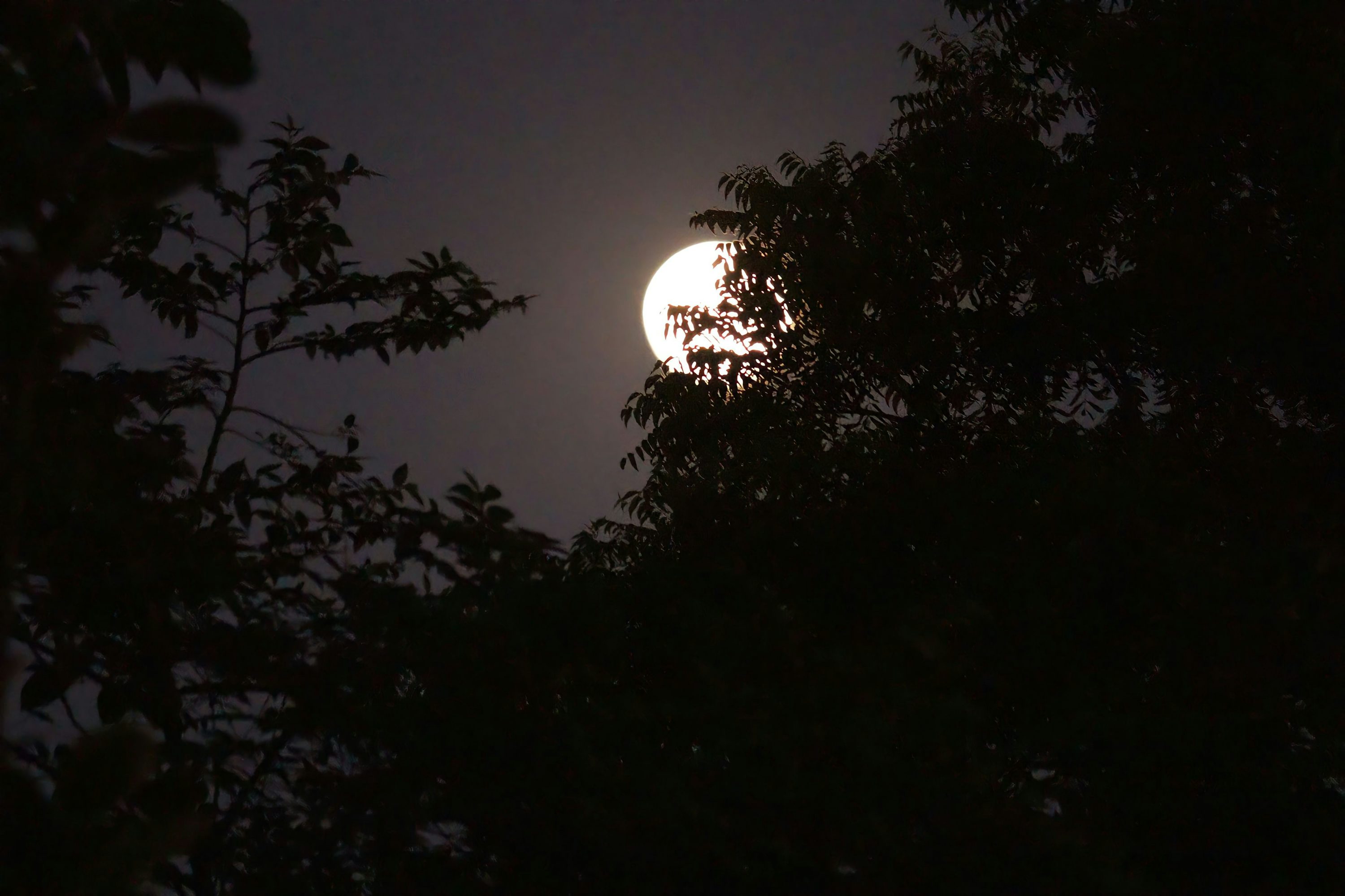 Beautiful Night Picture [HD]. Download Free Image