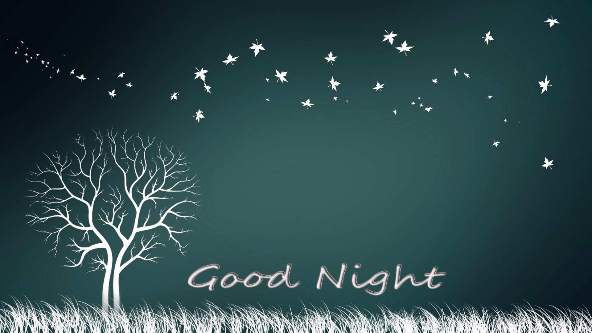 Good Night Image, Photo, Pics & HD Wallpaper Download