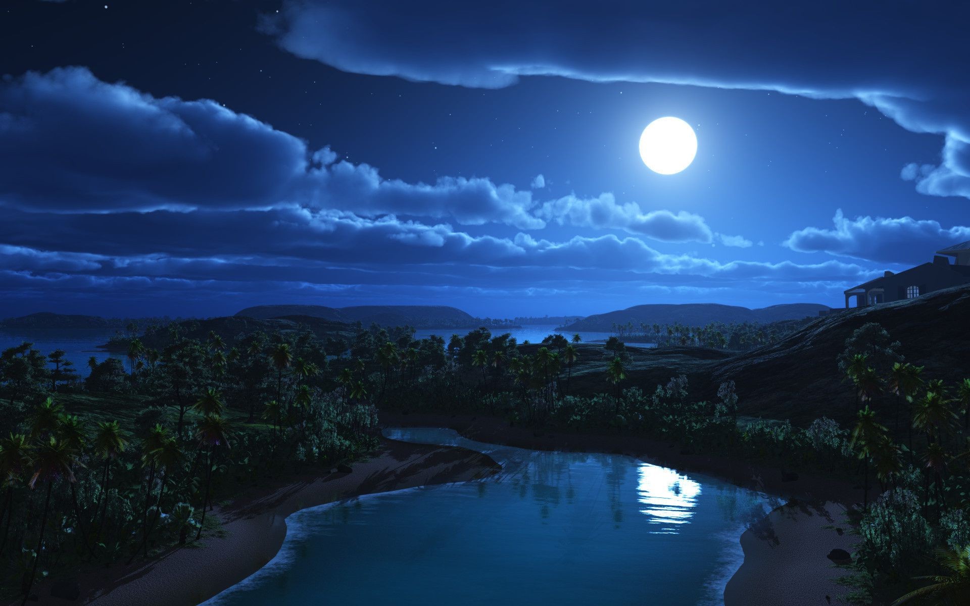 Moon hills and palm trees. Beautiful night landscape