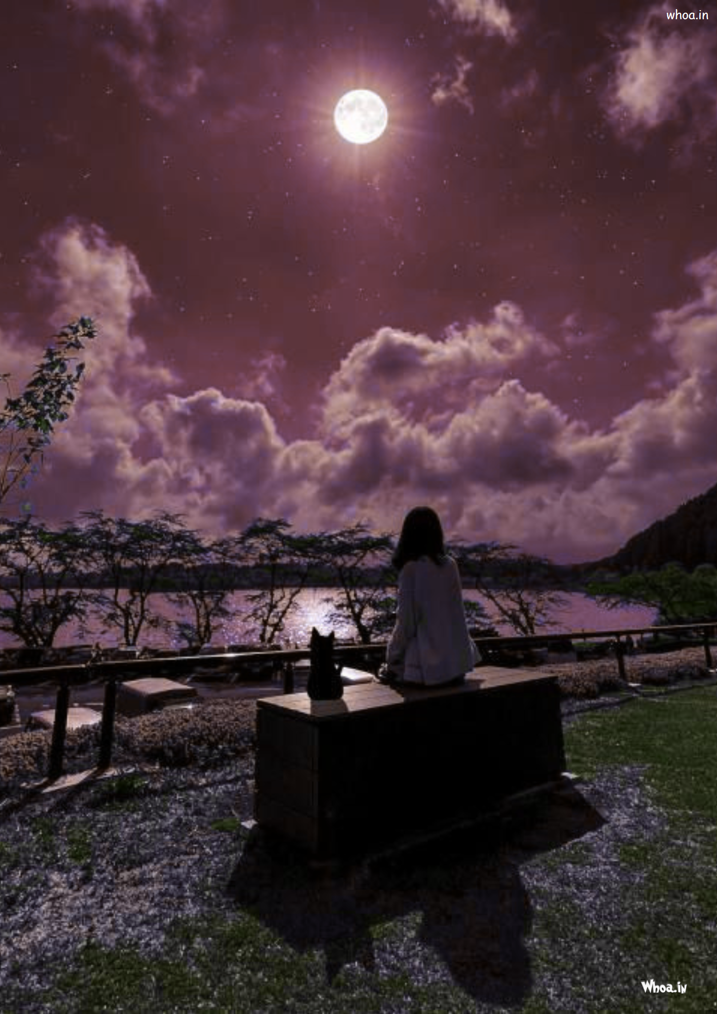 Girl Sit On Bench At Night Girl At Night Photo Moon With G